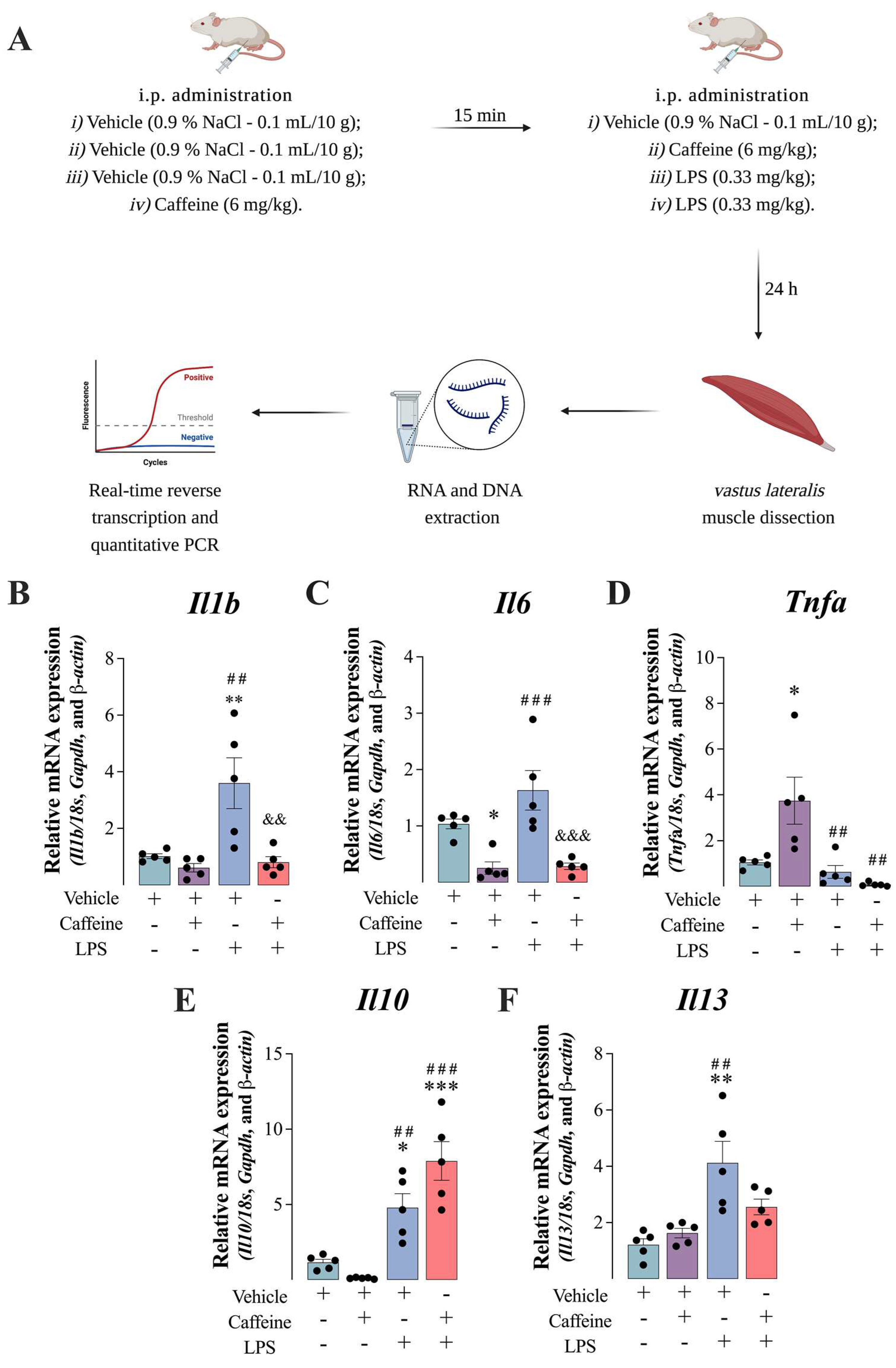 Antioxidants 12 00554 g001