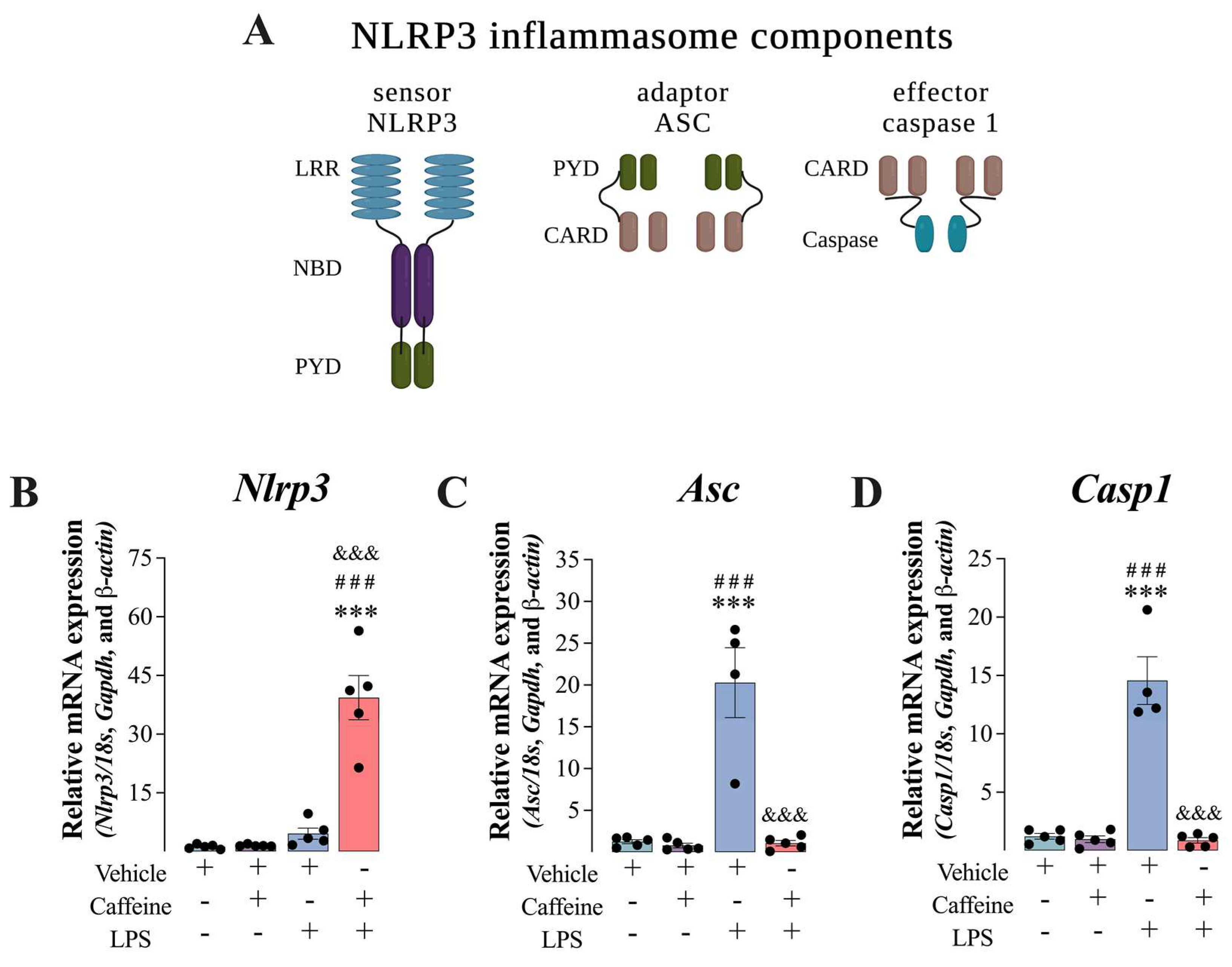 Antioxidants 12 00554 g002