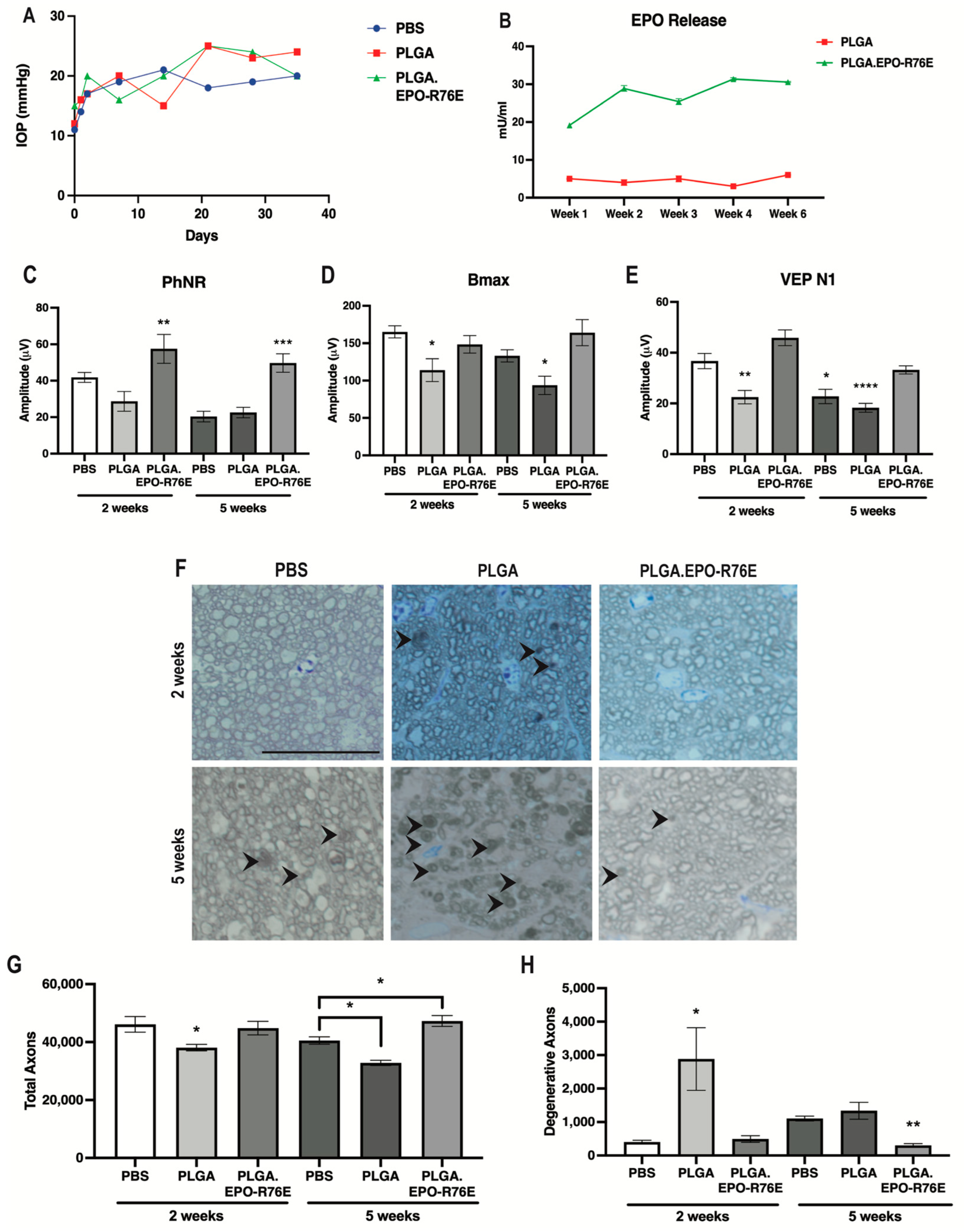 Antioxidants 12 00556 g001 Antioxidants 12 00556 g001