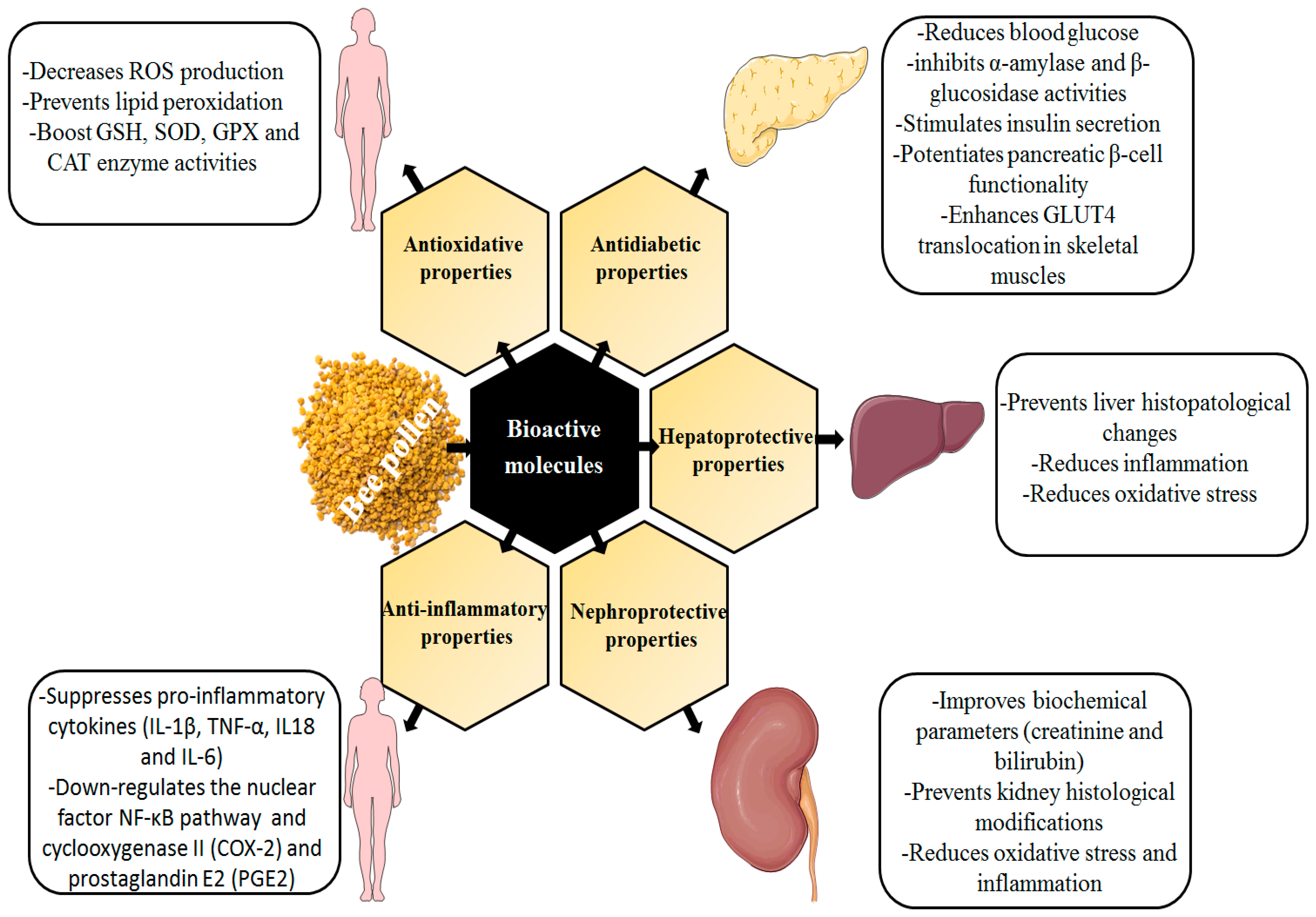 Antioxidants 12 00557 g001