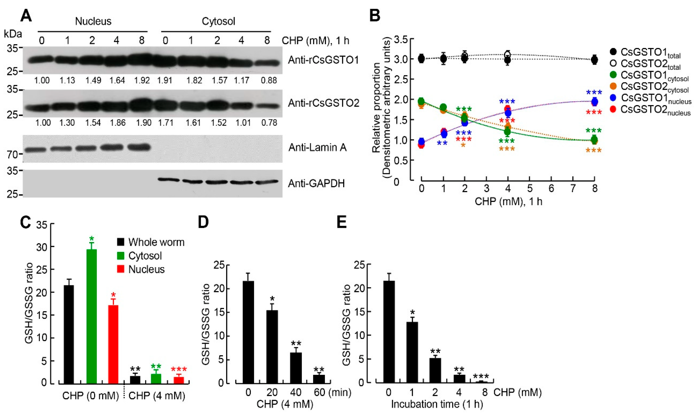 Antioxidants 12 00560 g001