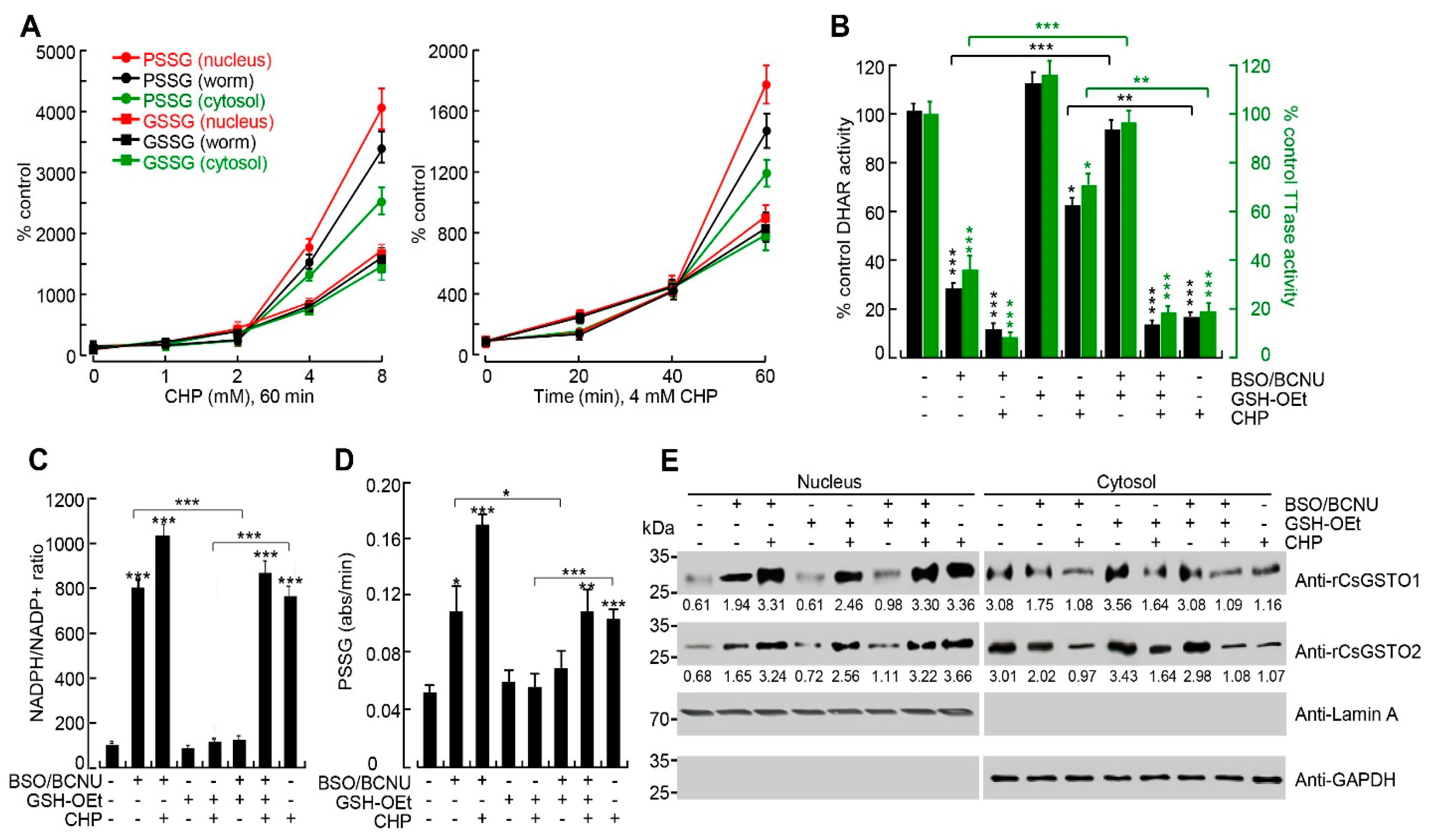 Antioxidants 12 00560 g003