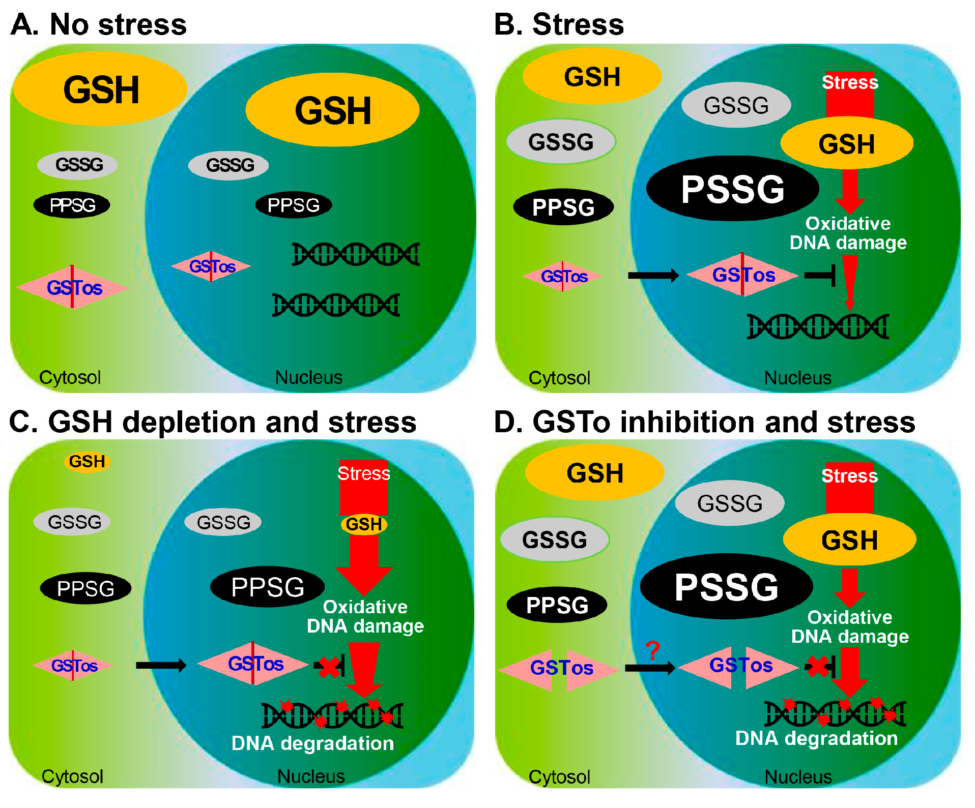 Antioxidants 12 00560 g006