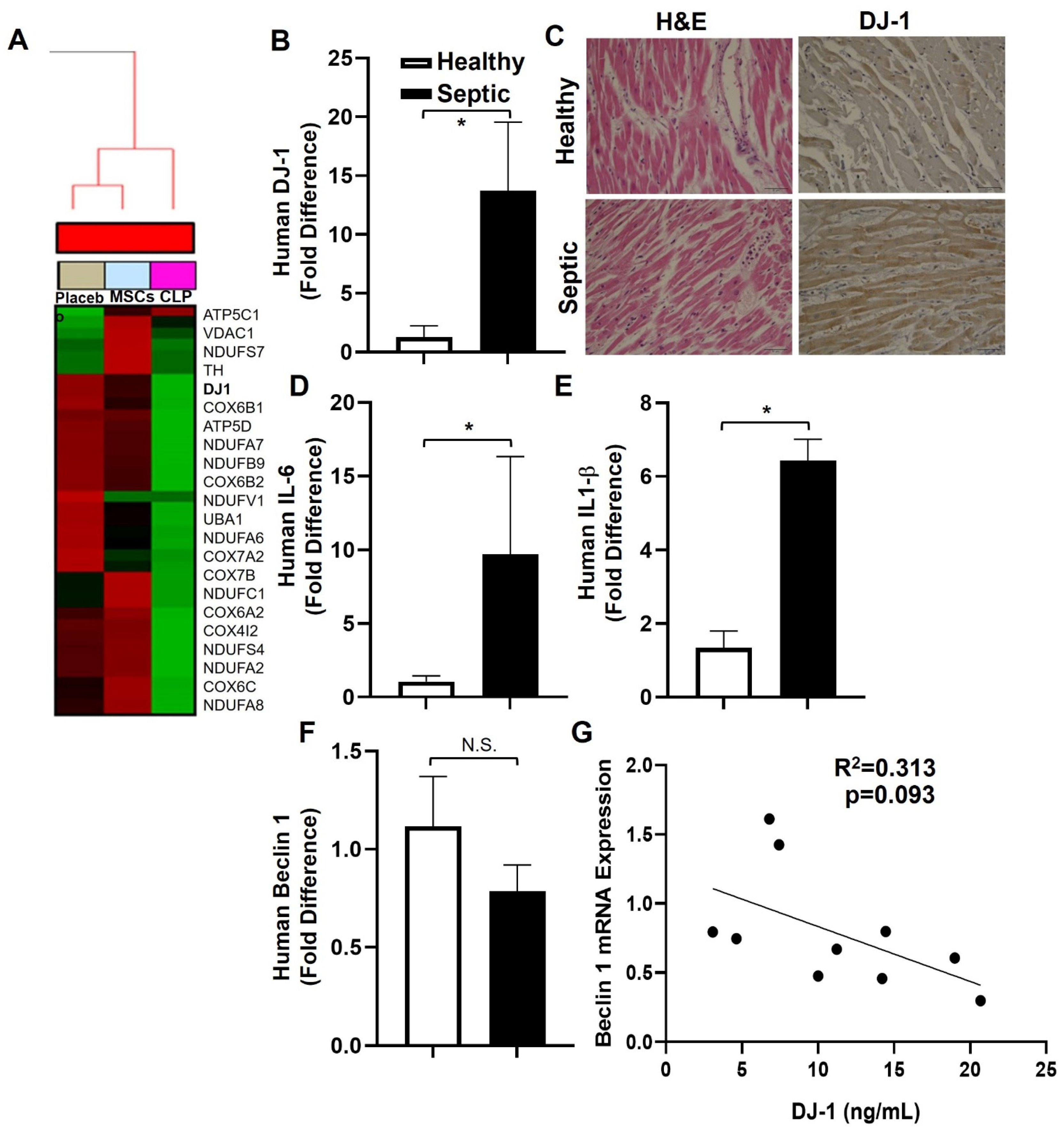 Antioxidants 12 00561 g001