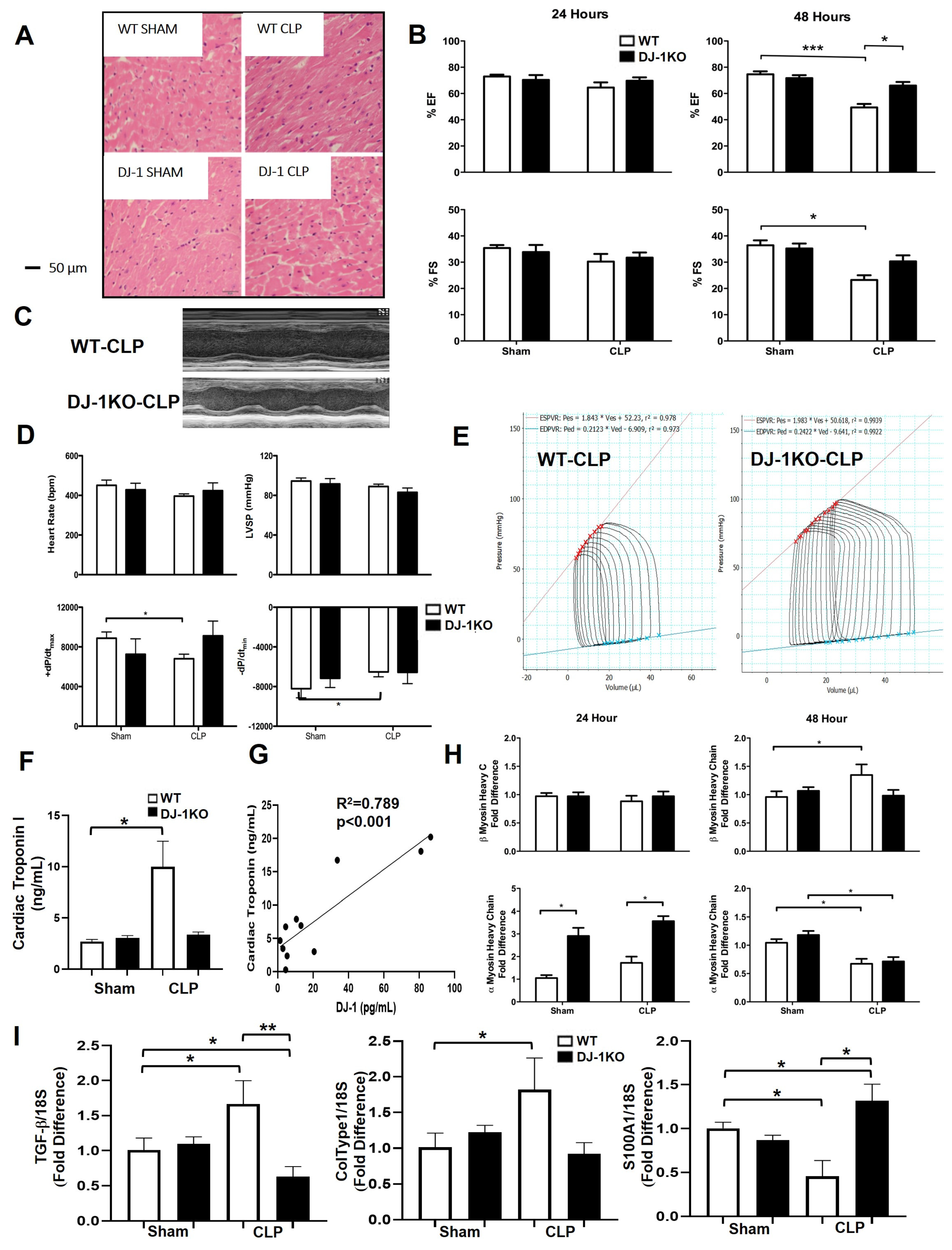 Antioxidants 12 00561 g004