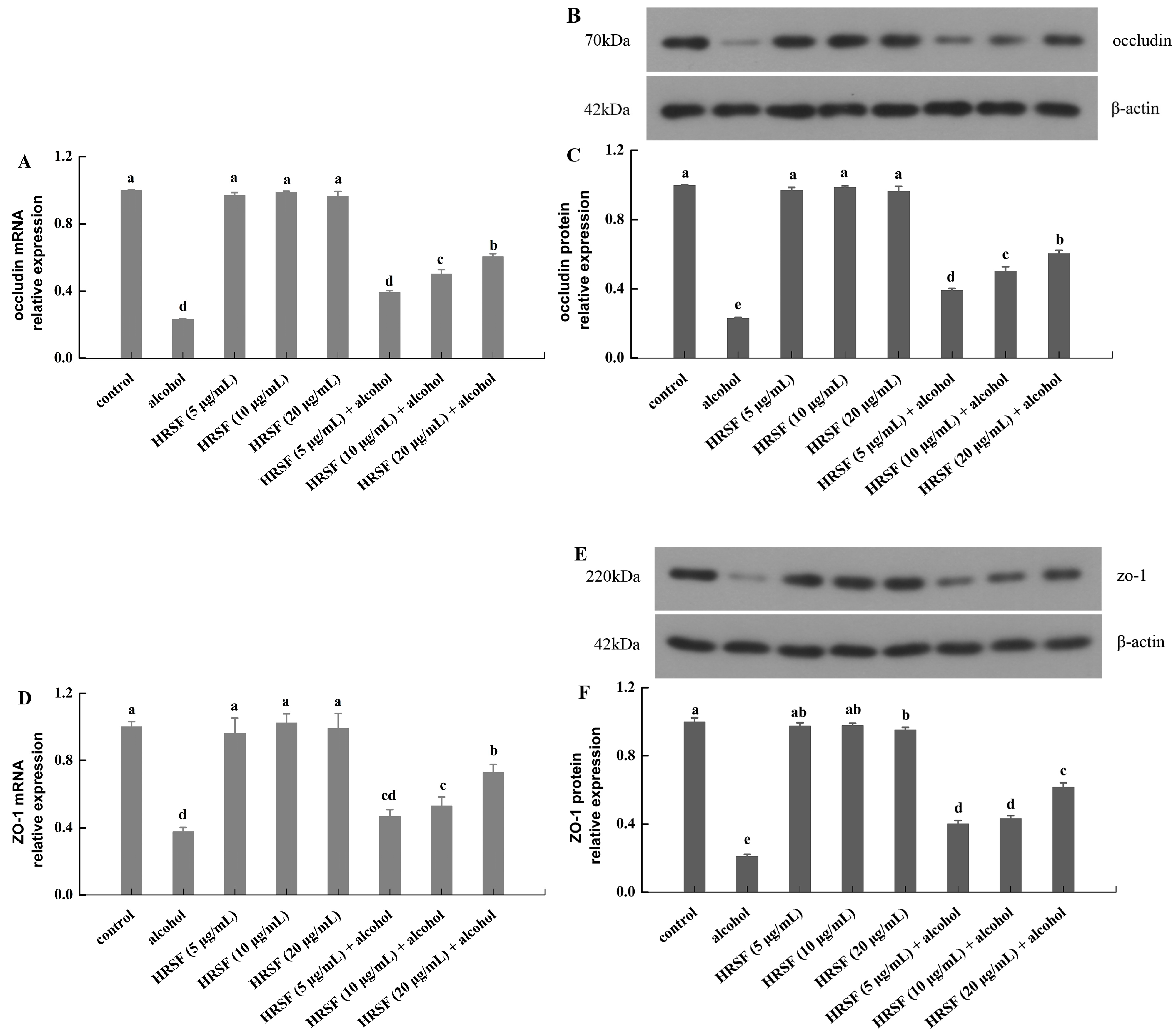 Antioxidants 12 00562 g003