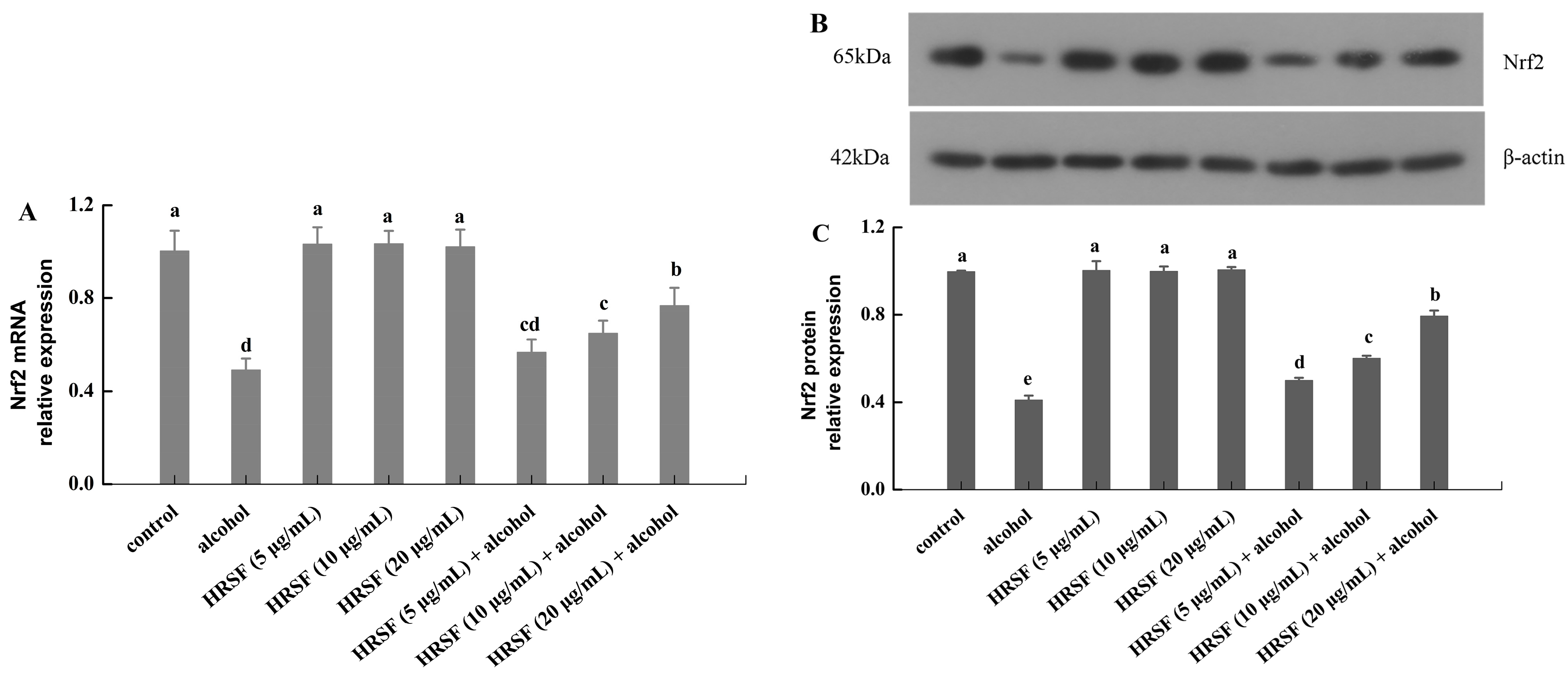 Antioxidants 12 00562 g006