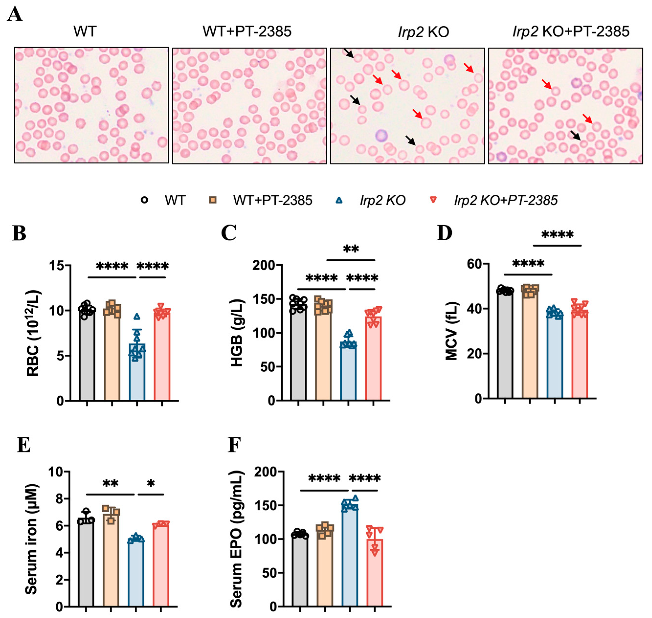 Antioxidants 12 00566 g001 Antioxidants 12 00566 g001