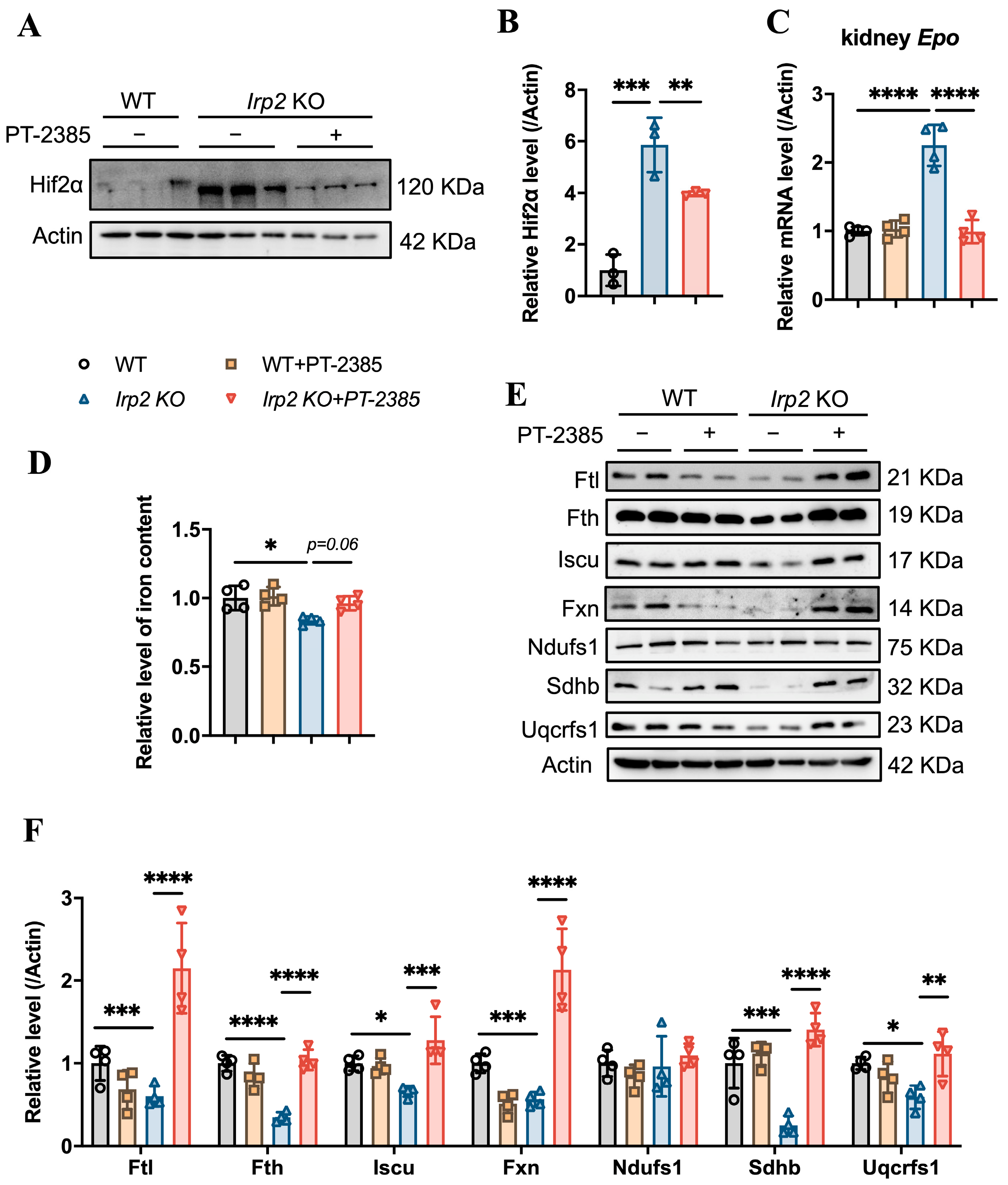 Antioxidants 12 00566 g003 Antioxidants 12 00566 g003