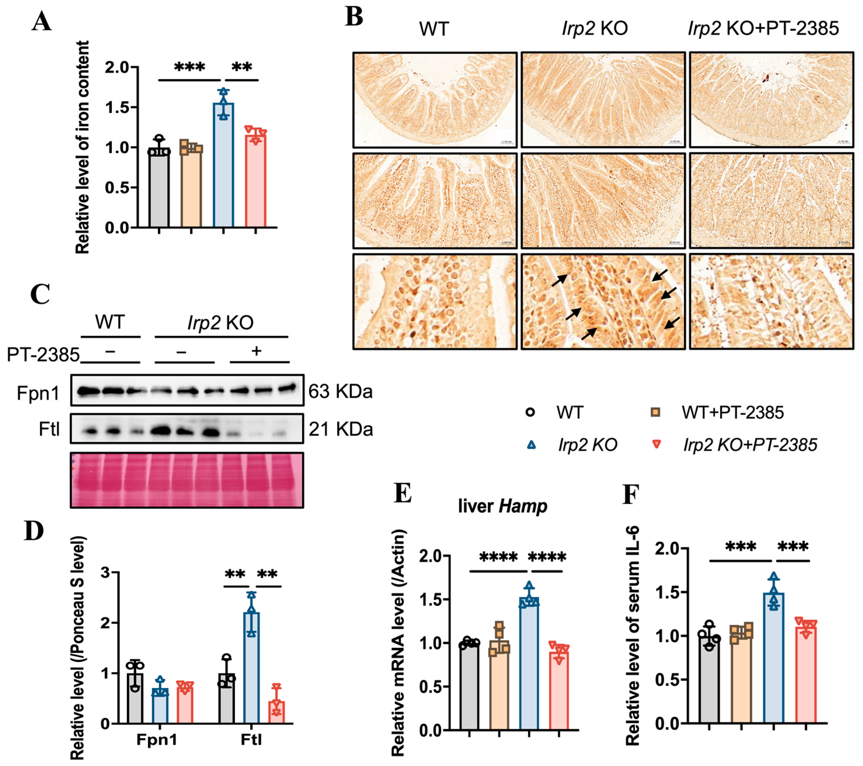 Antioxidants 12 00566 g004 Antioxidants 12 00566 g004