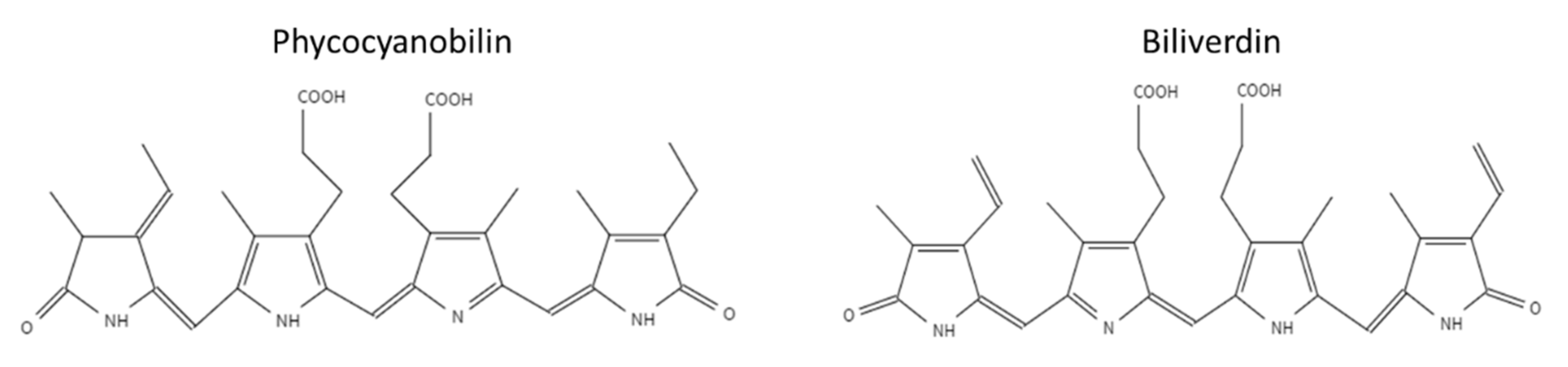 Antioxidants 12 00568 g001 Antioxidants 12 00568 g001