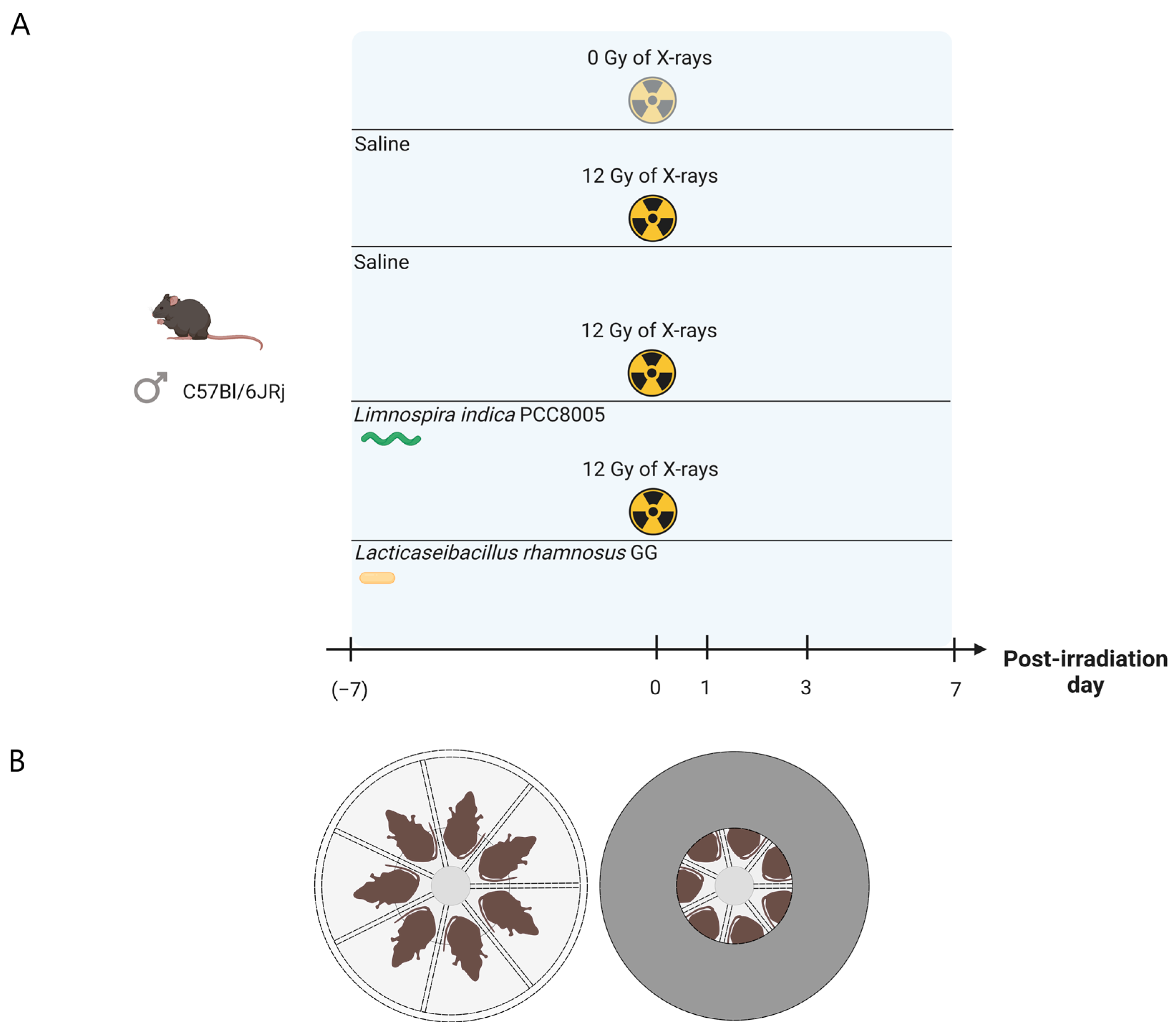 Antioxidants 12 00572 g001