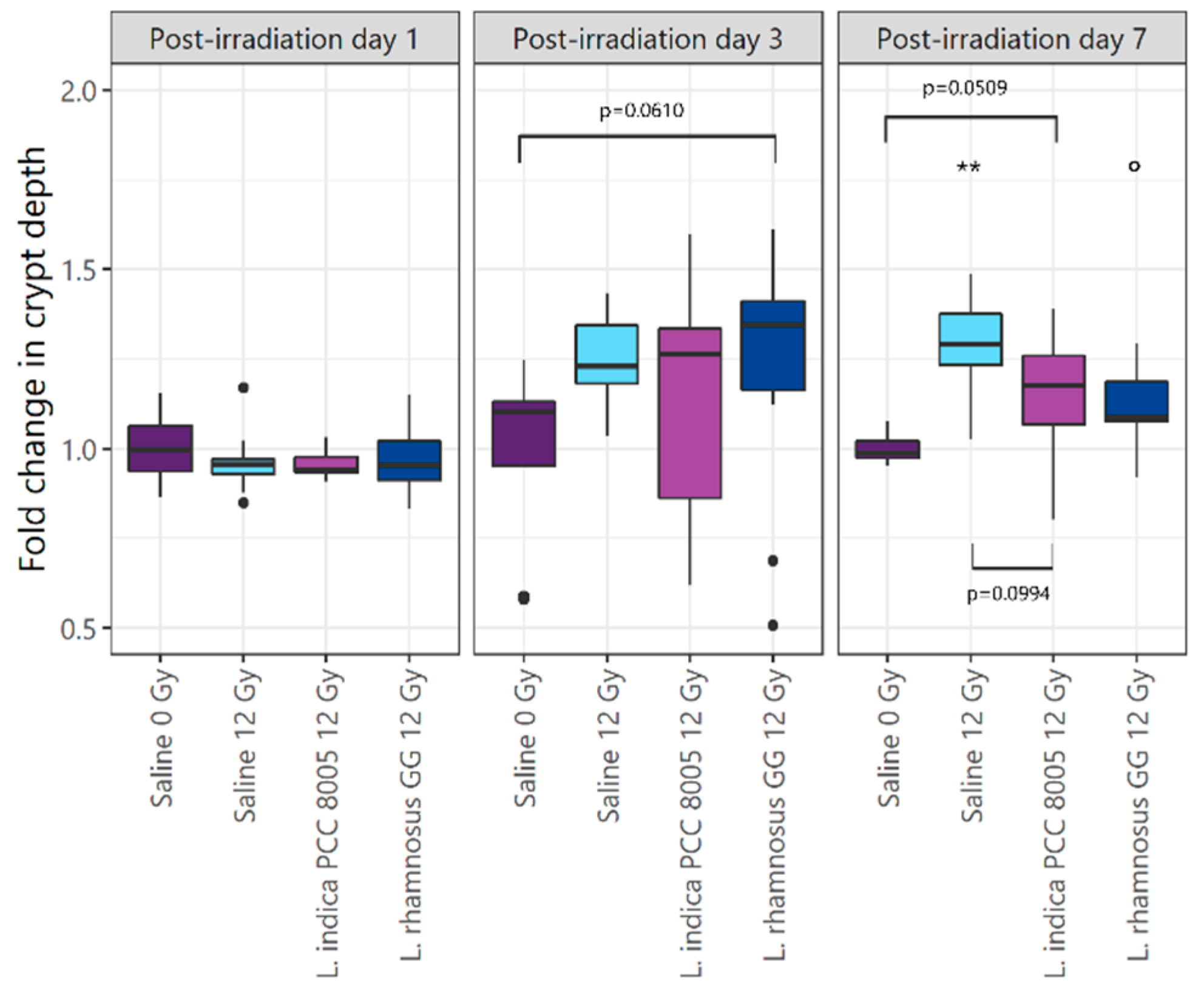 Antioxidants 12 00572 g004