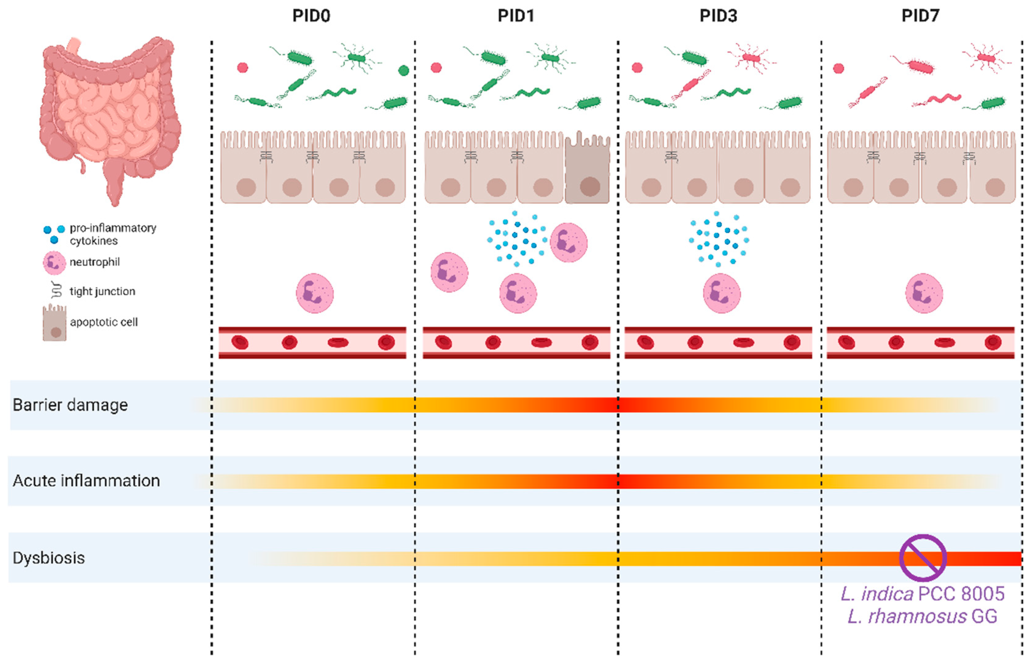 Antioxidants 12 00572 g012