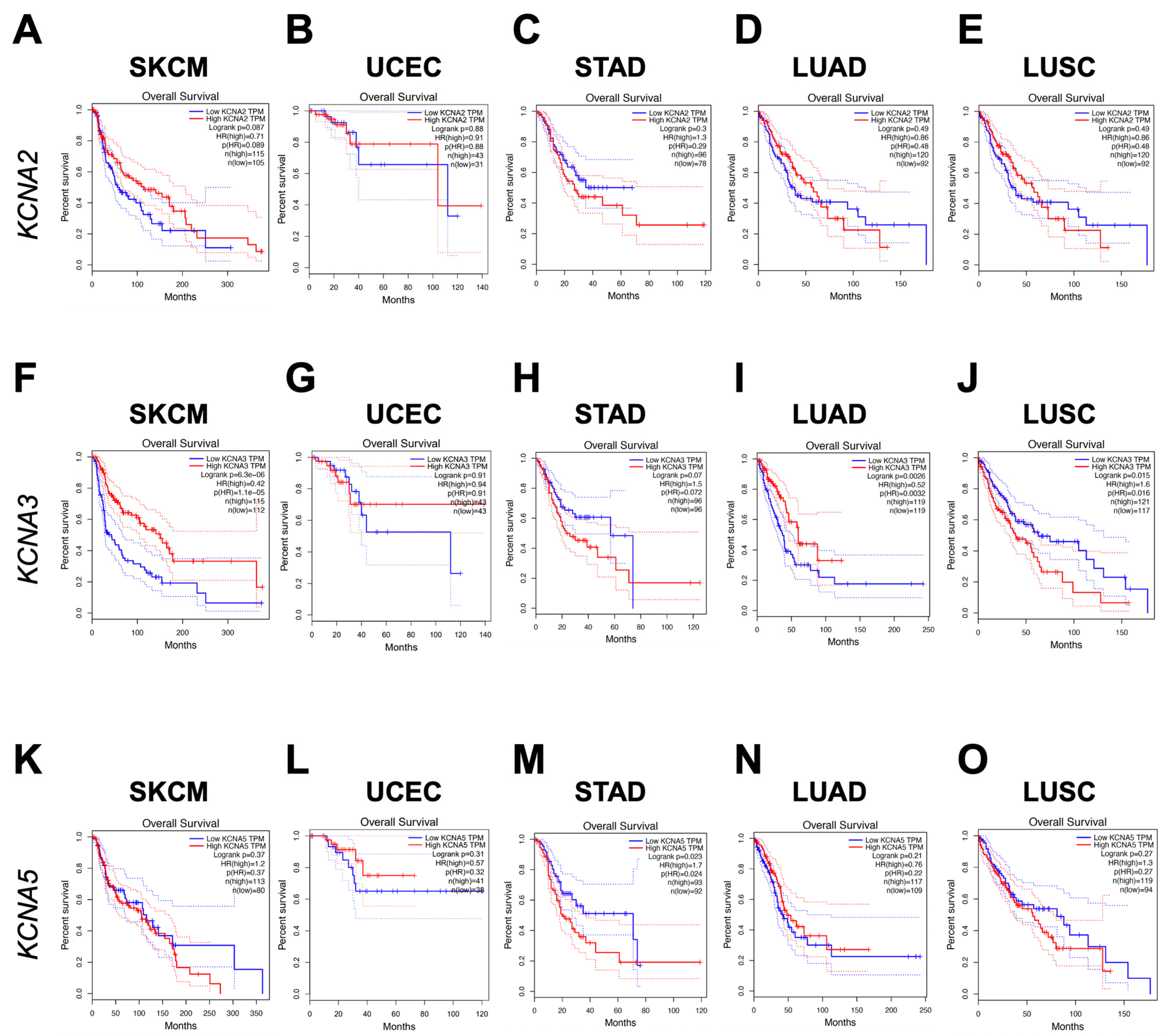 Antioxidants 12 00573 g002 Antioxidants 12 00573 g002