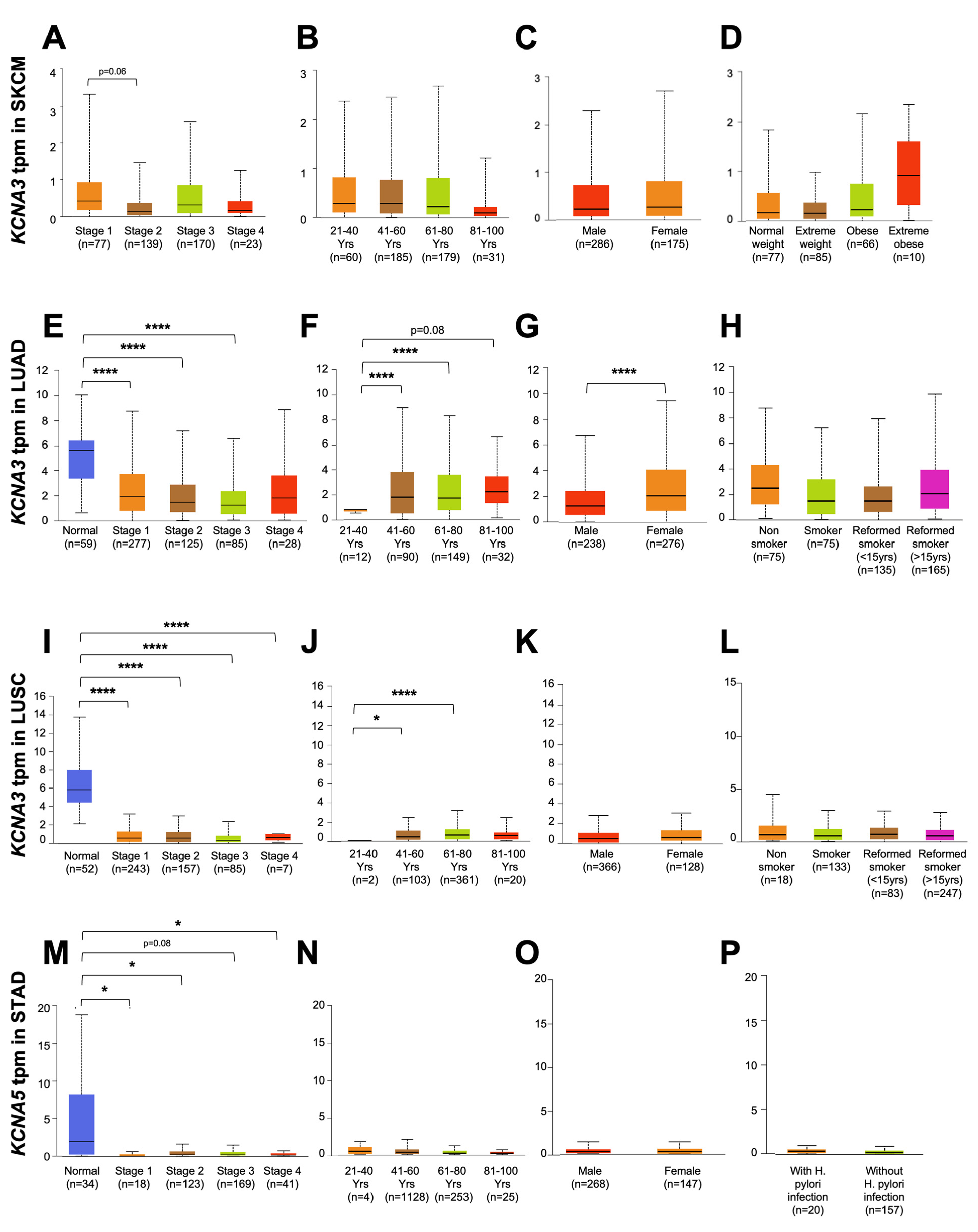 Antioxidants 12 00573 g003 Antioxidants 12 00573 g003