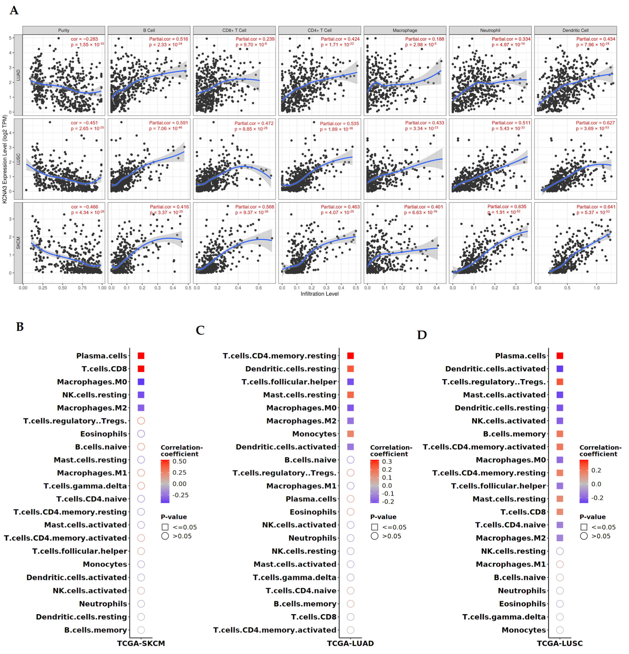 Antioxidants 12 00573 g005 Antioxidants 12 00573 g005