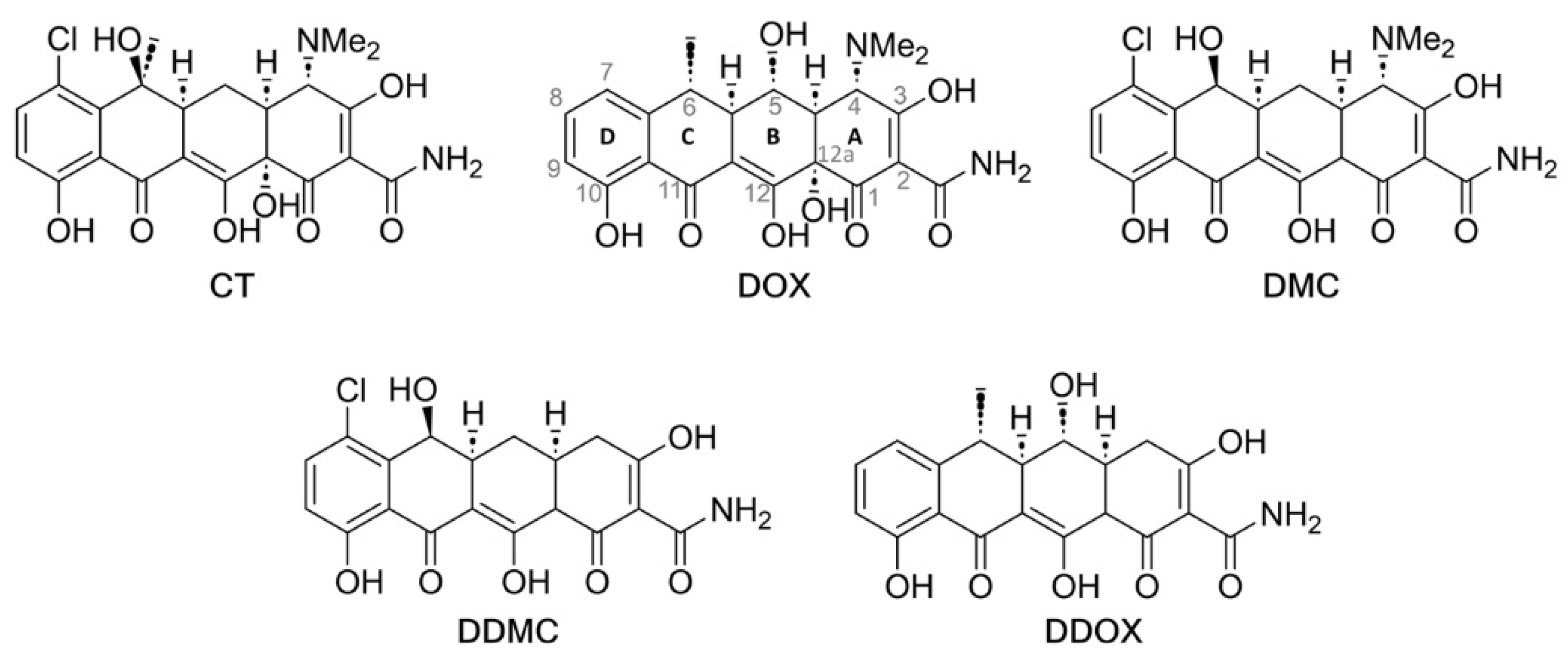 Antioxidants 12 00575 g003