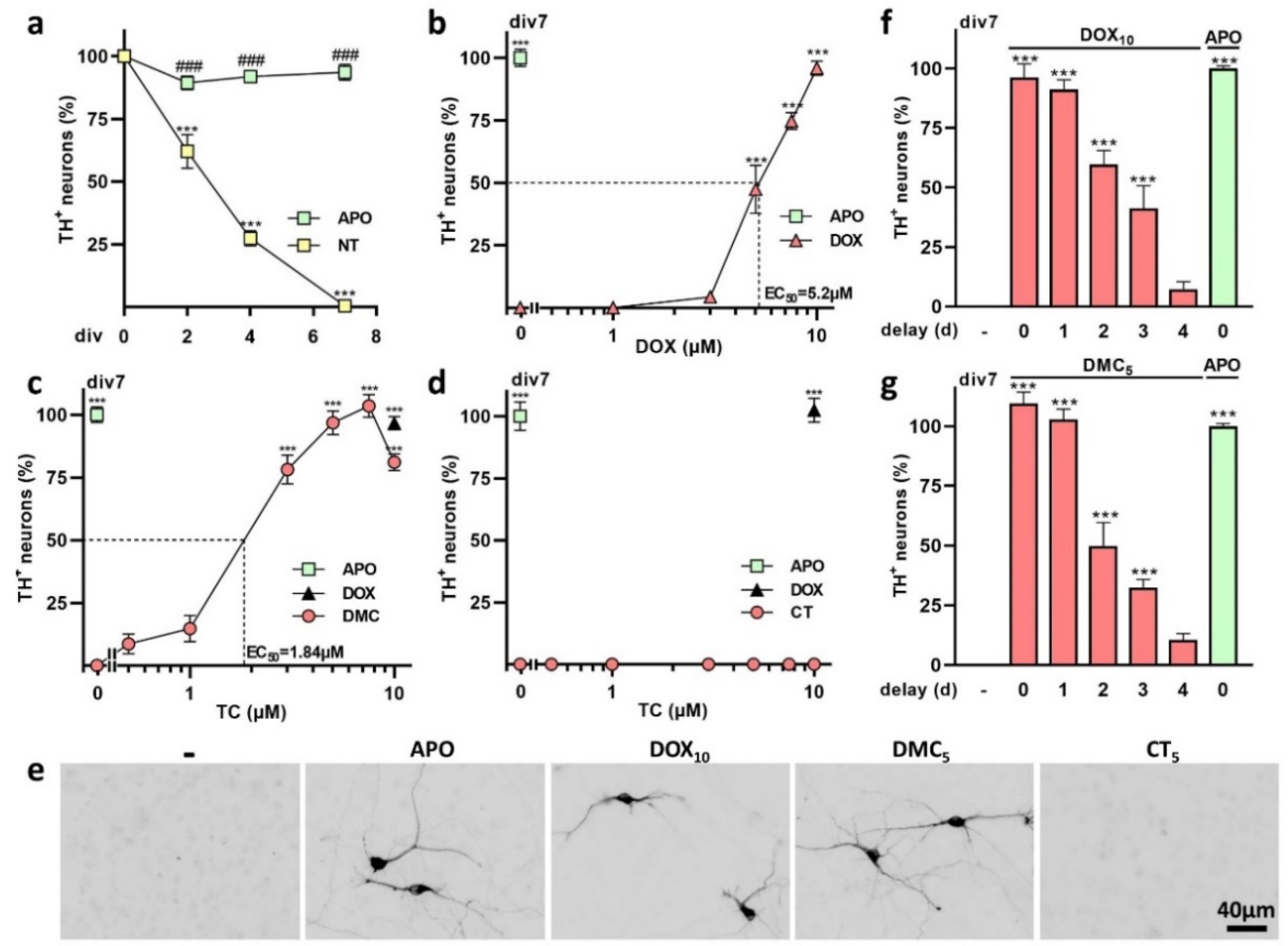 Antioxidants 12 00575 g004