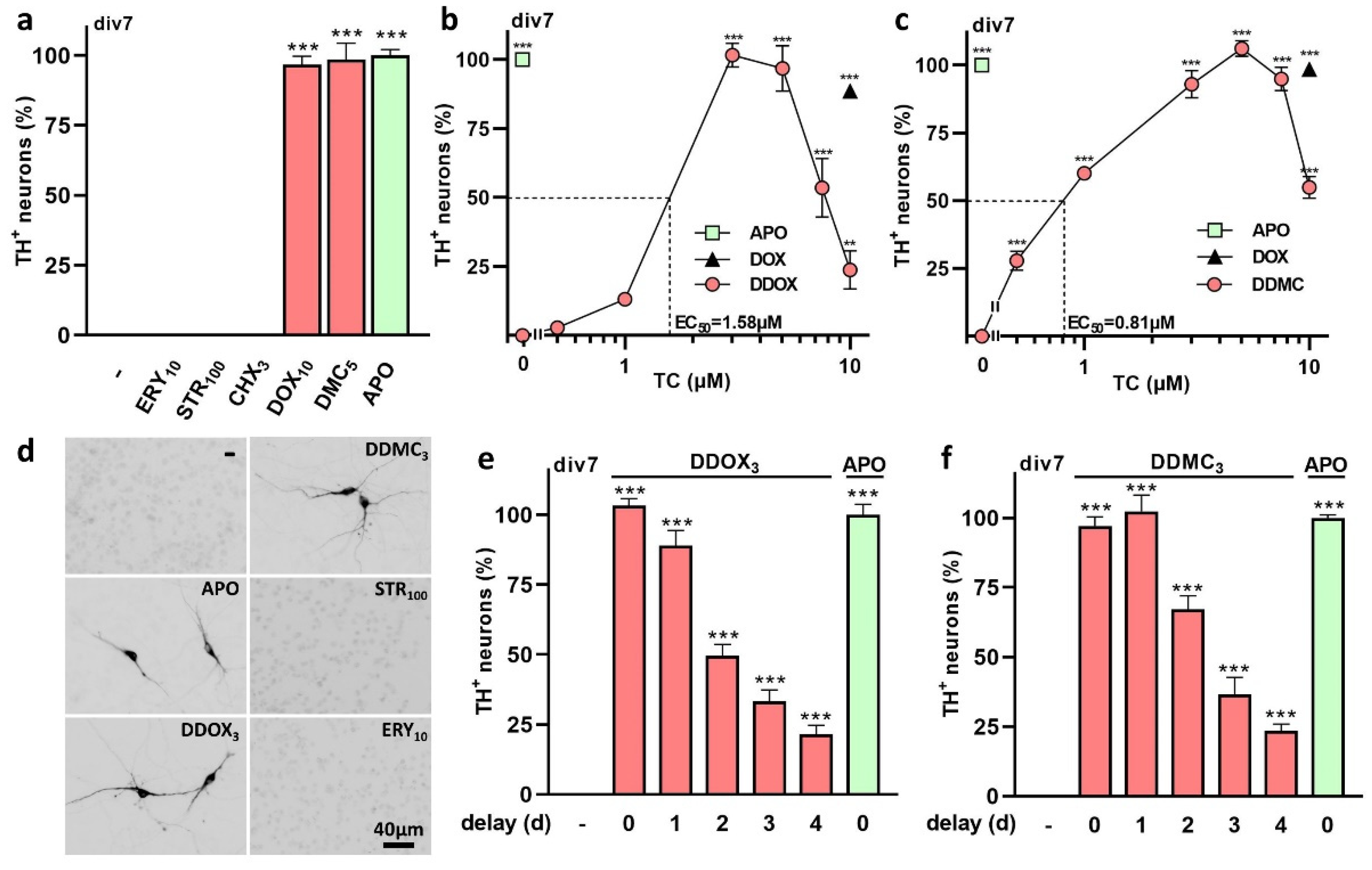 Antioxidants 12 00575 g005