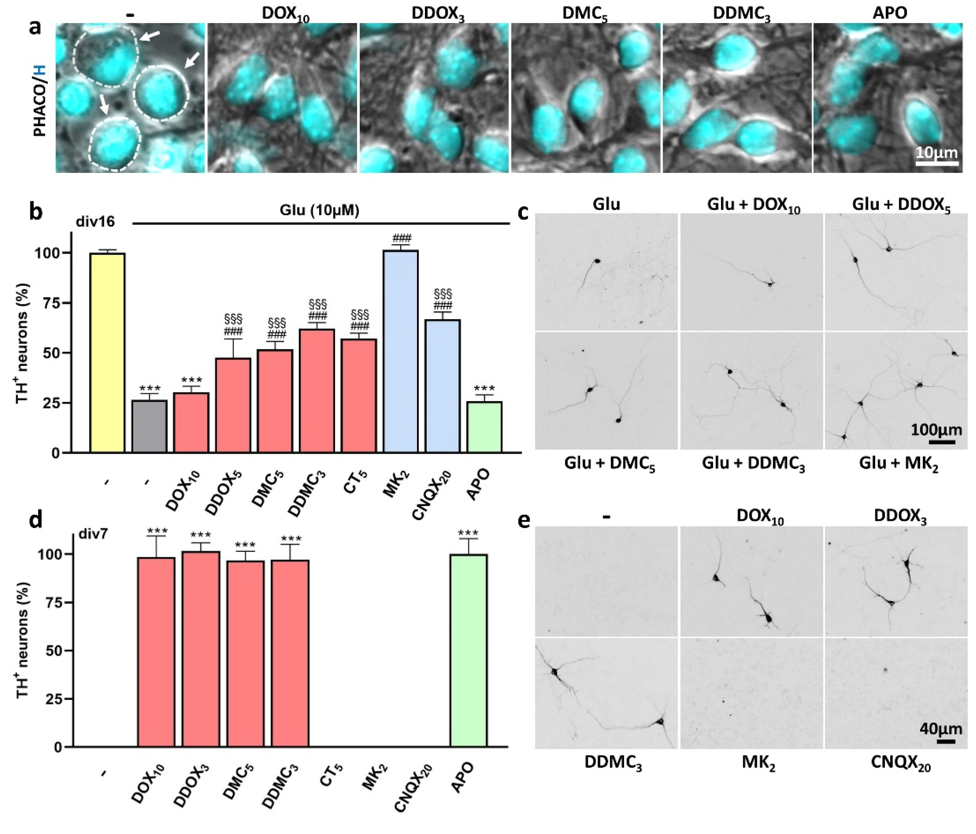Antioxidants 12 00575 g006