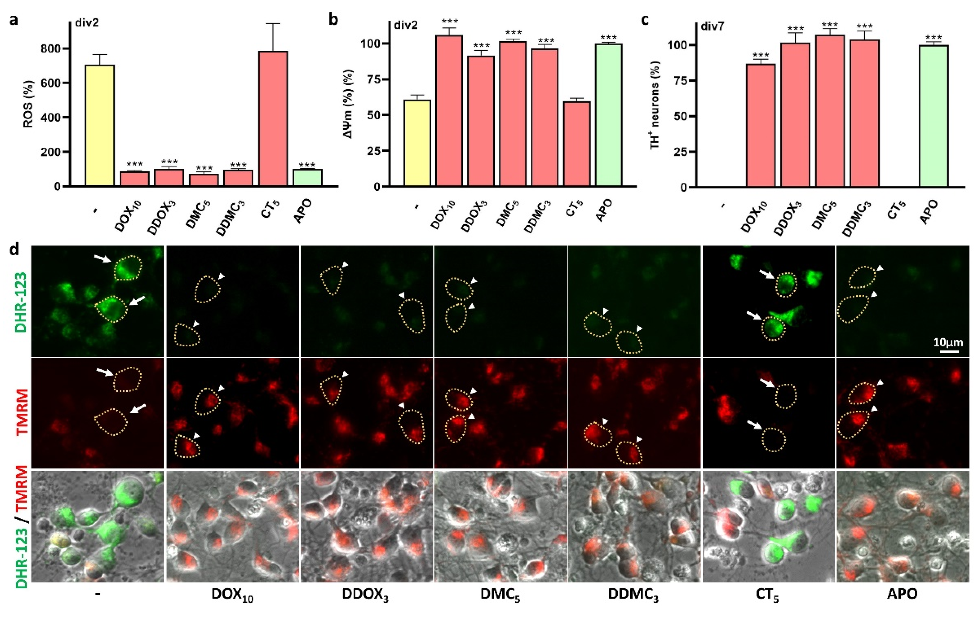 Antioxidants 12 00575 g007