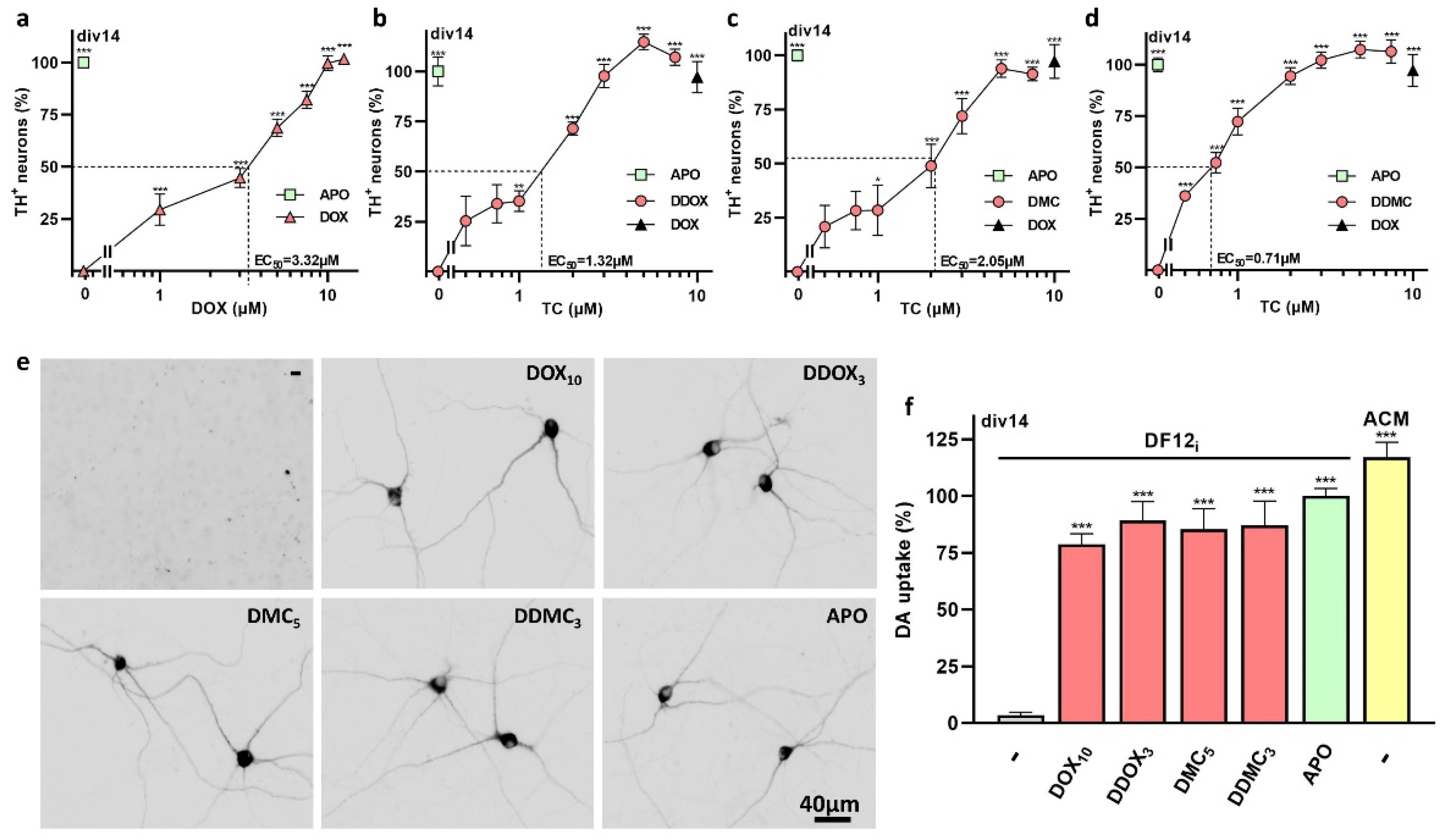 Antioxidants 12 00575 g010