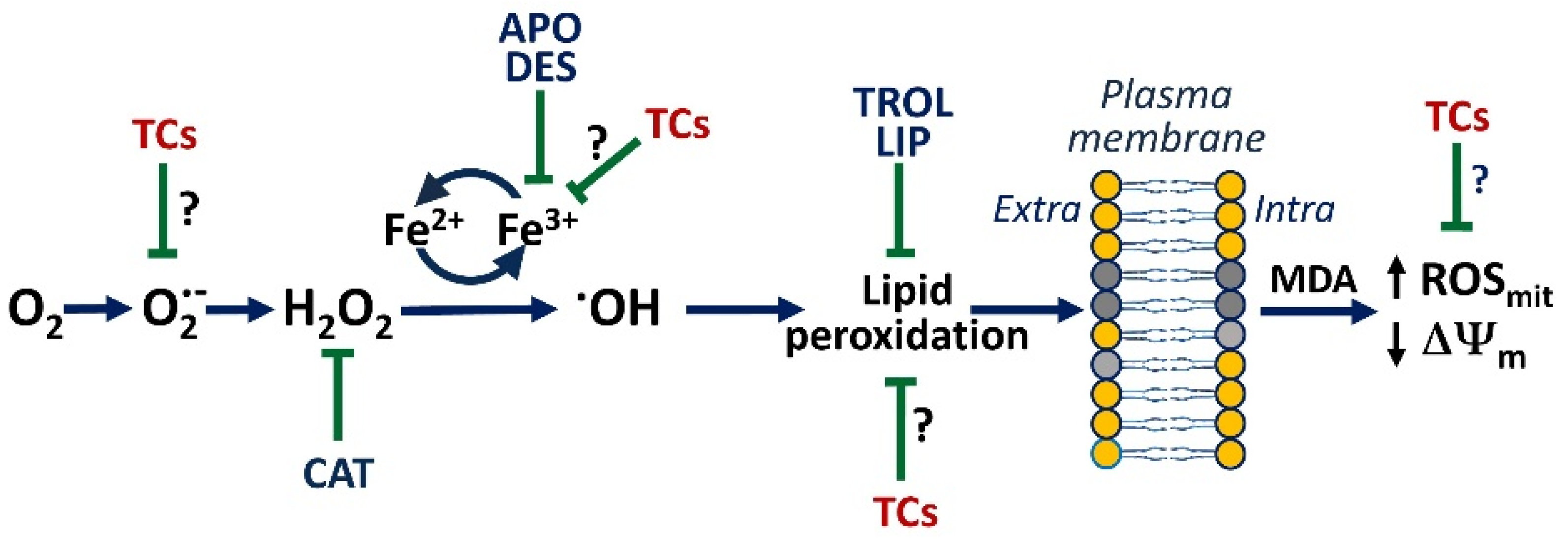 Antioxidants 12 00575 g011