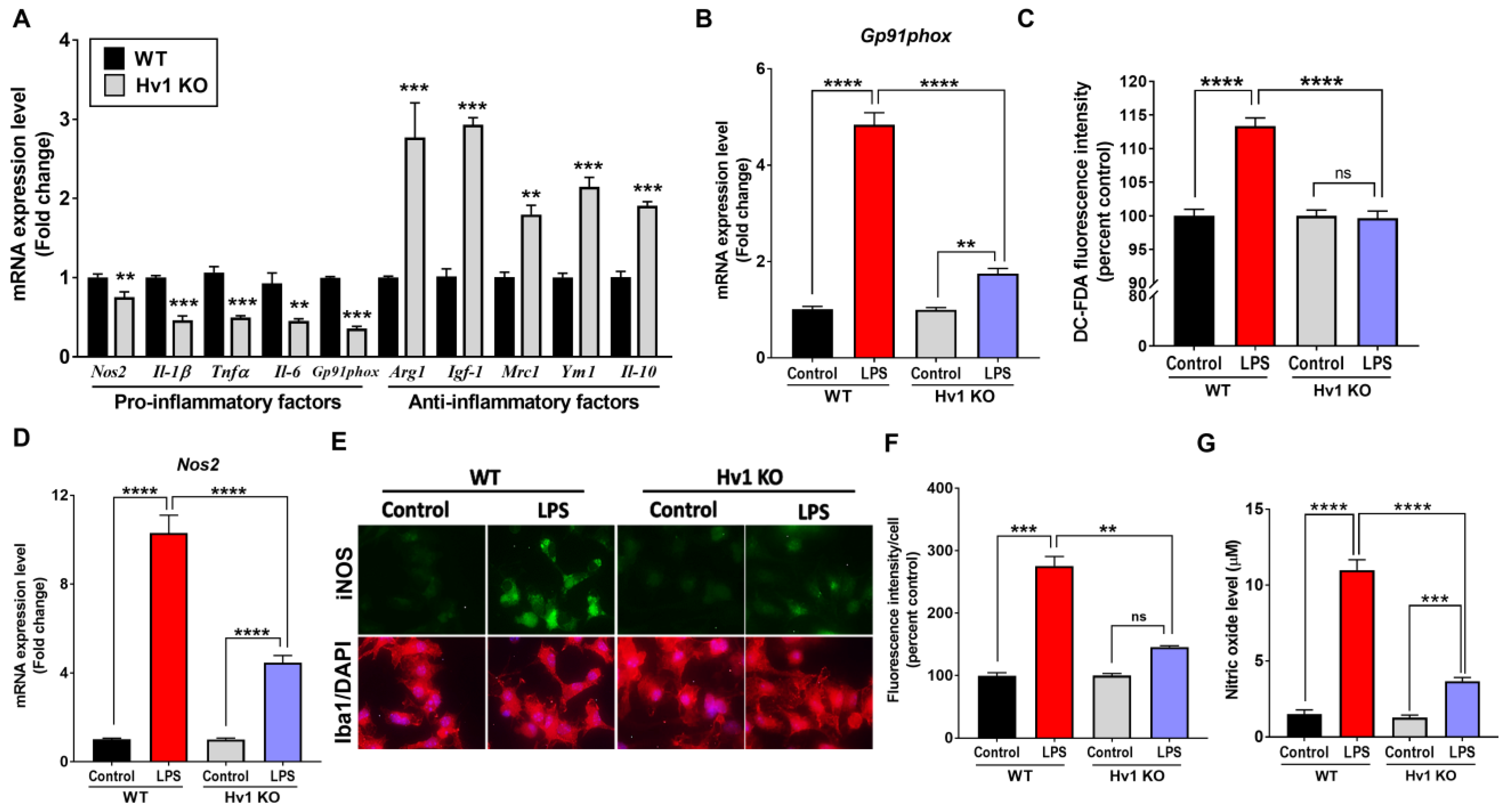 Antioxidants 12 00582 g007 Antioxidants 12 00582 g007