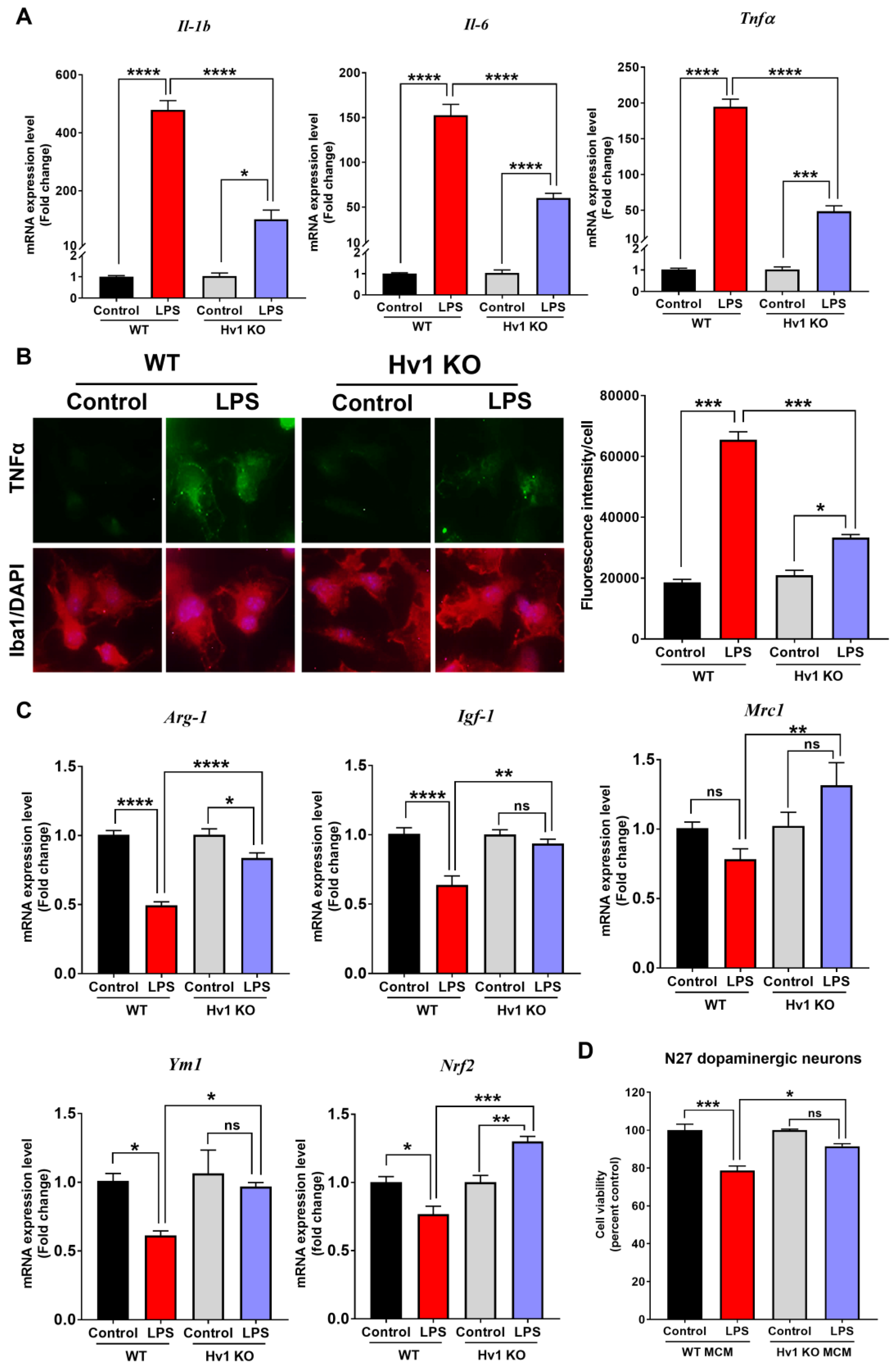 Antioxidants 12 00582 g008 Antioxidants 12 00582 g008
