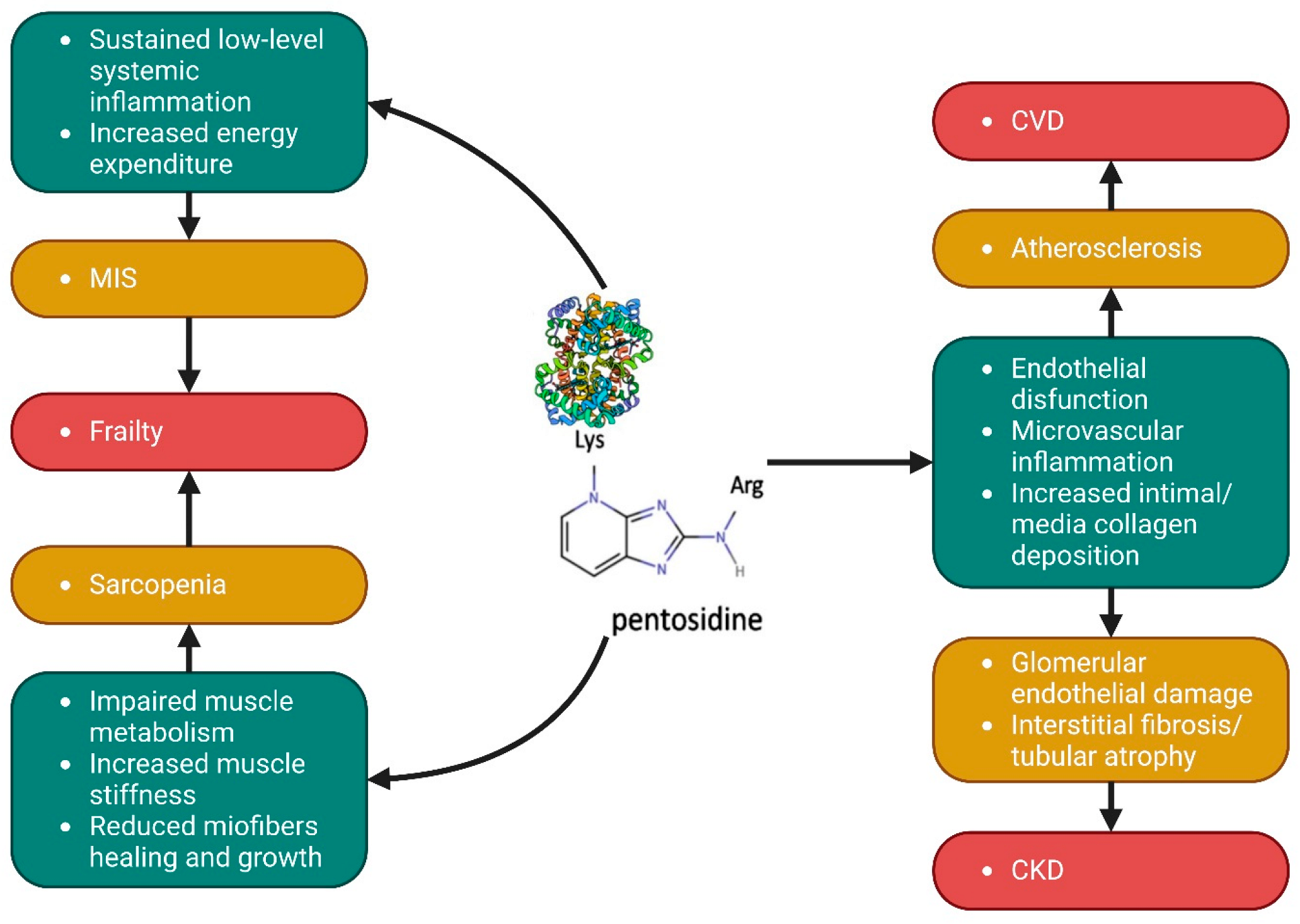 Antioxidants 12 00584 g003