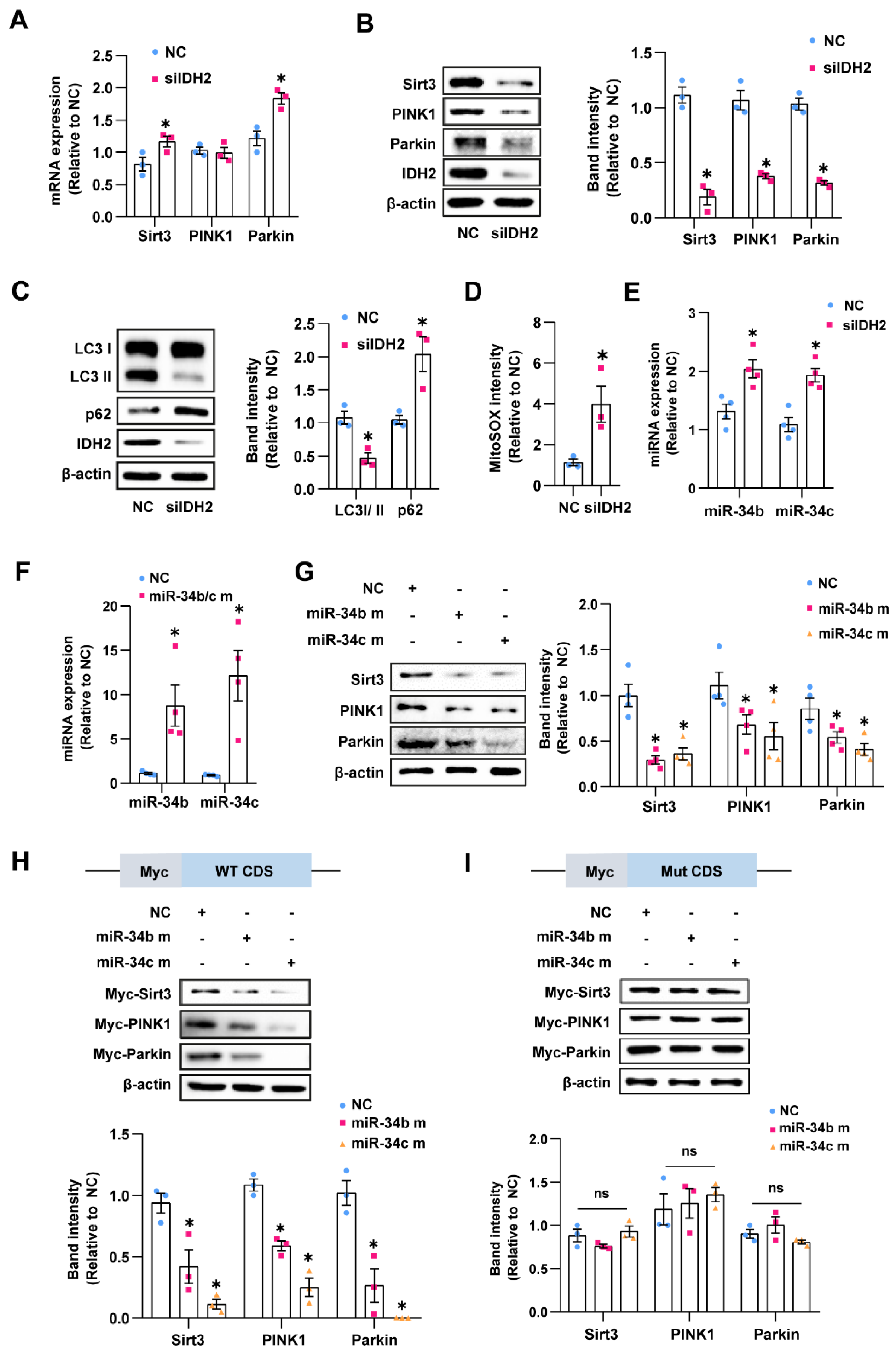 Antioxidants 12 00585 g002