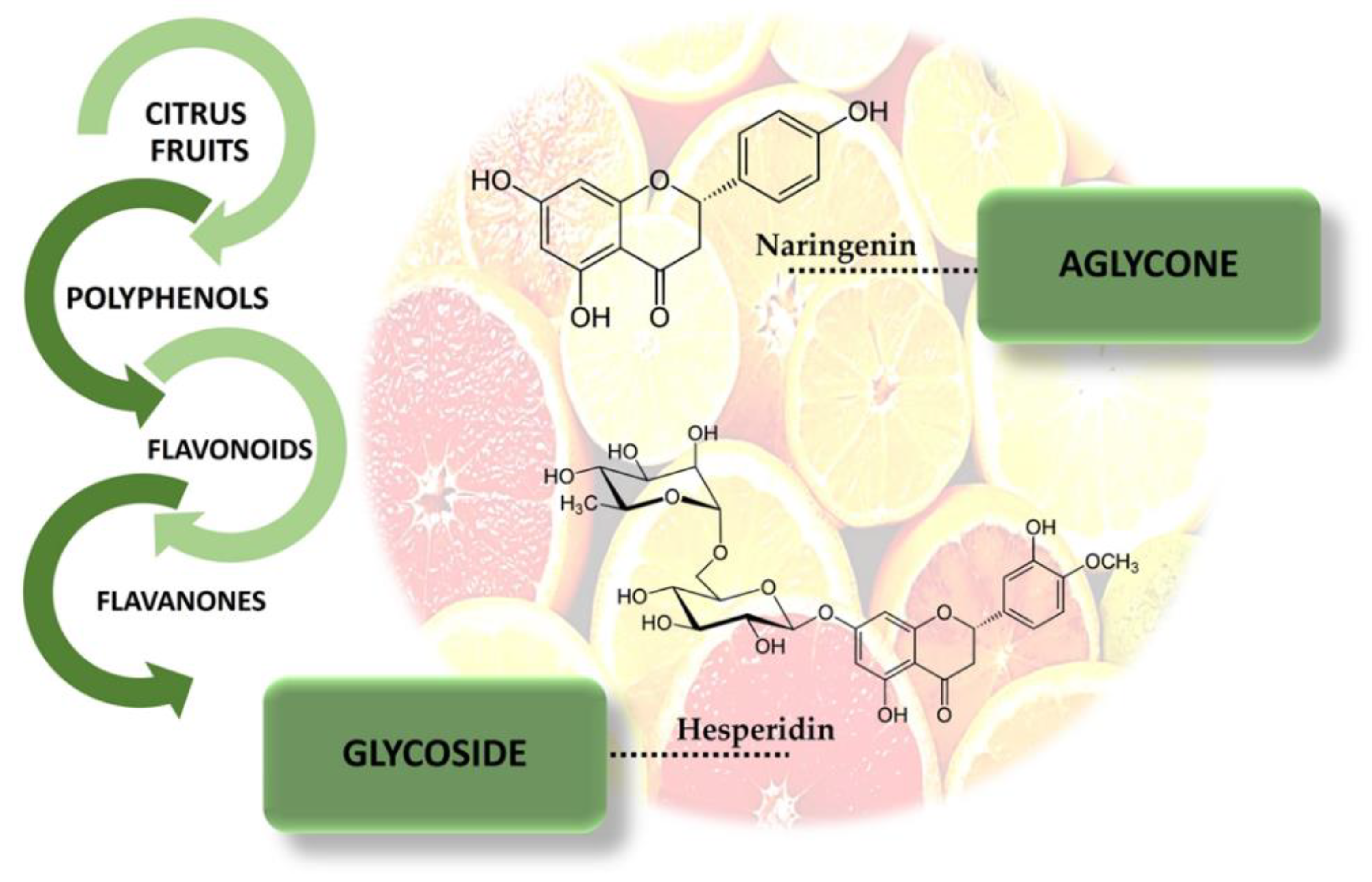 Antioxidants 12 00586 g001