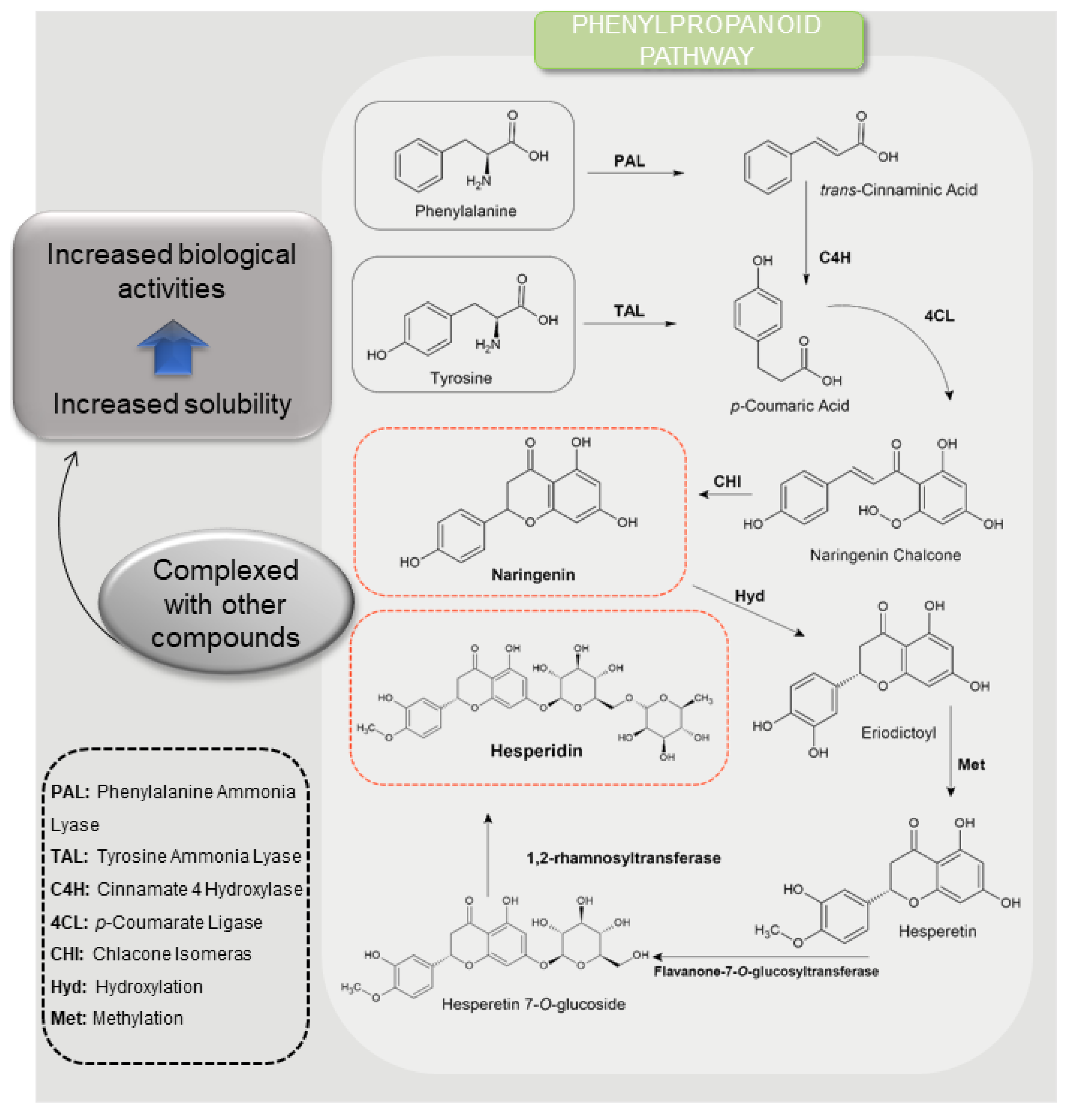 Antioxidants 12 00586 g002