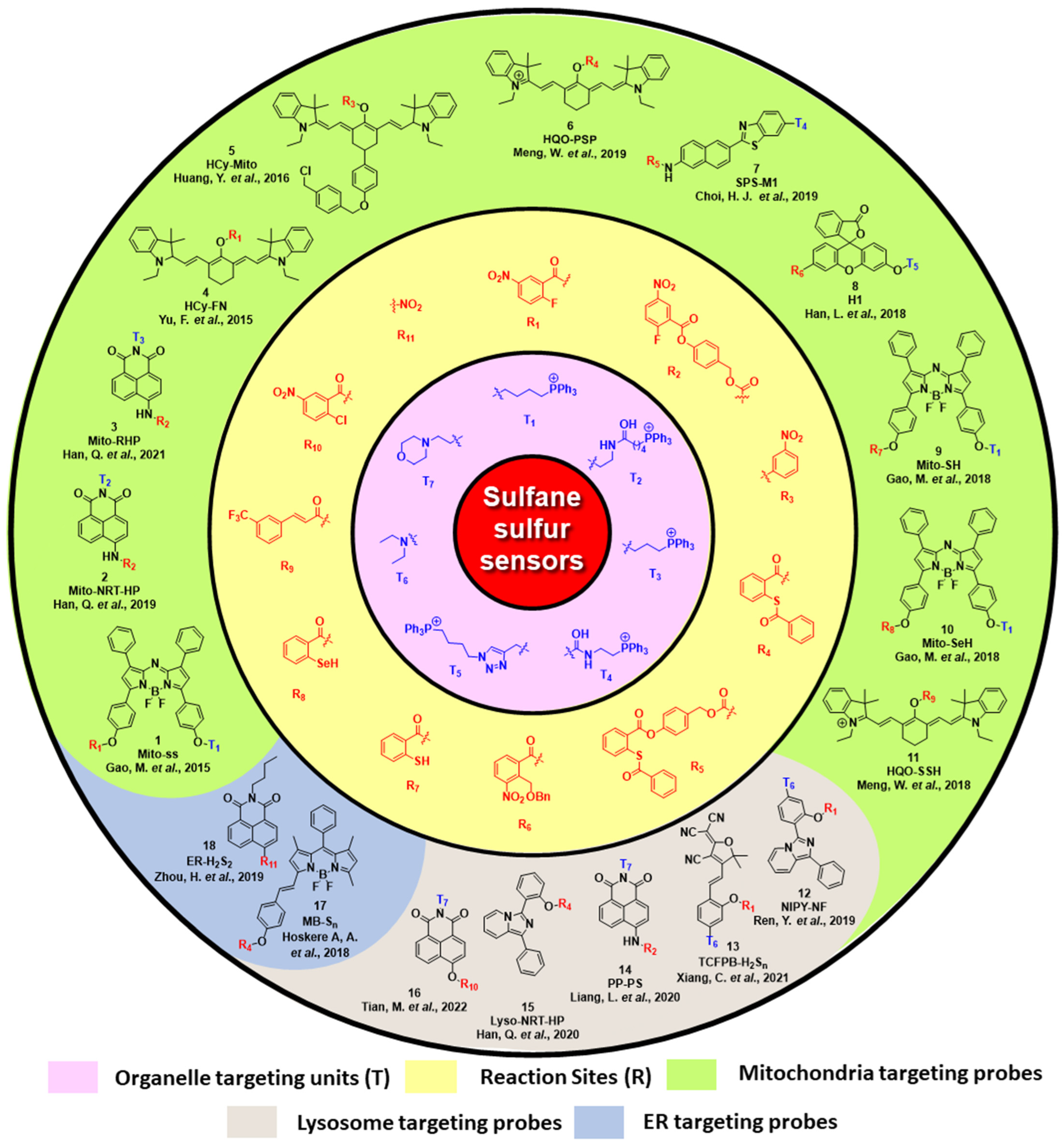 Antioxidants 12 00590 g001