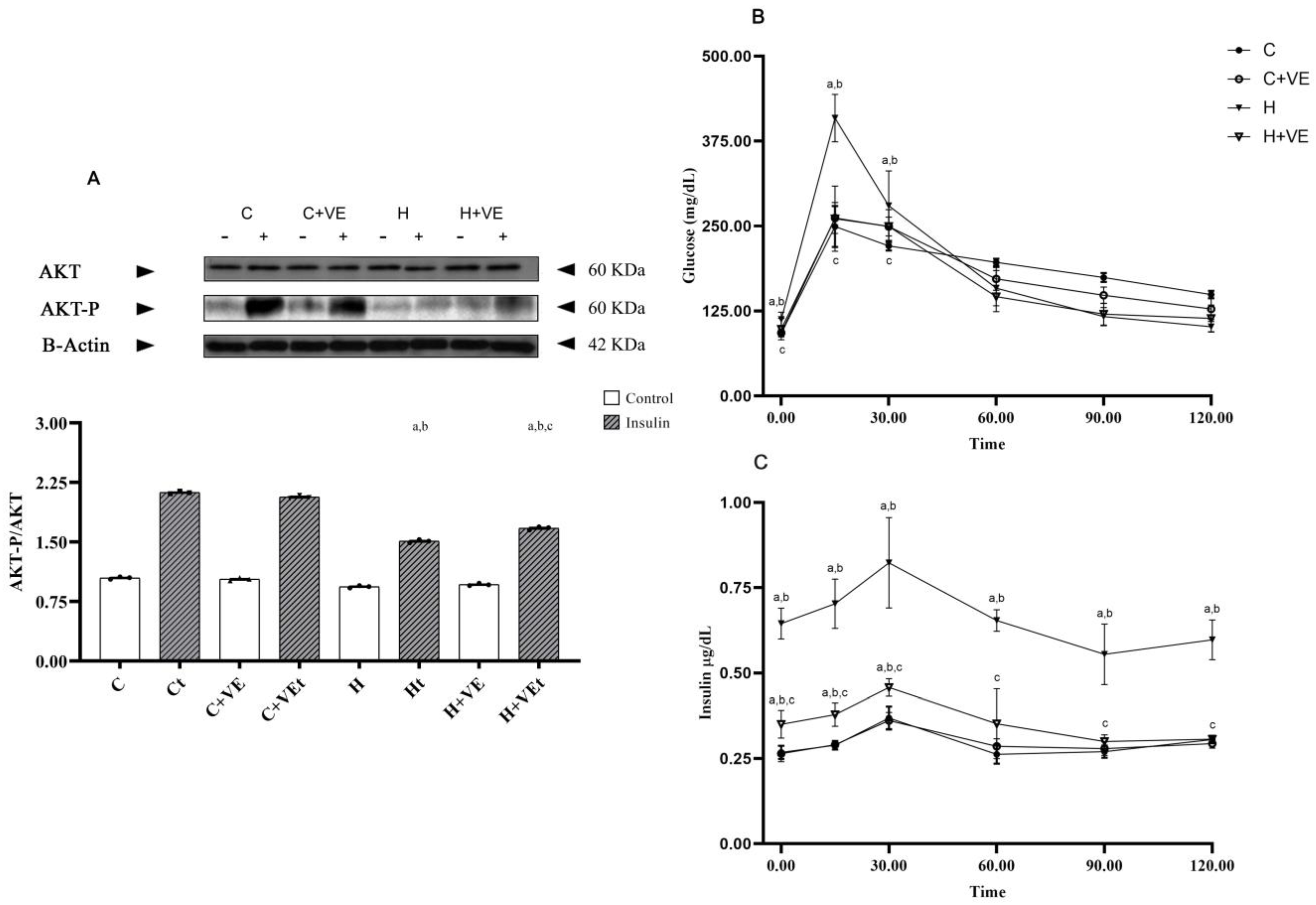 Antioxidants 12 00592 g001 Antioxidants 12 00592 g001