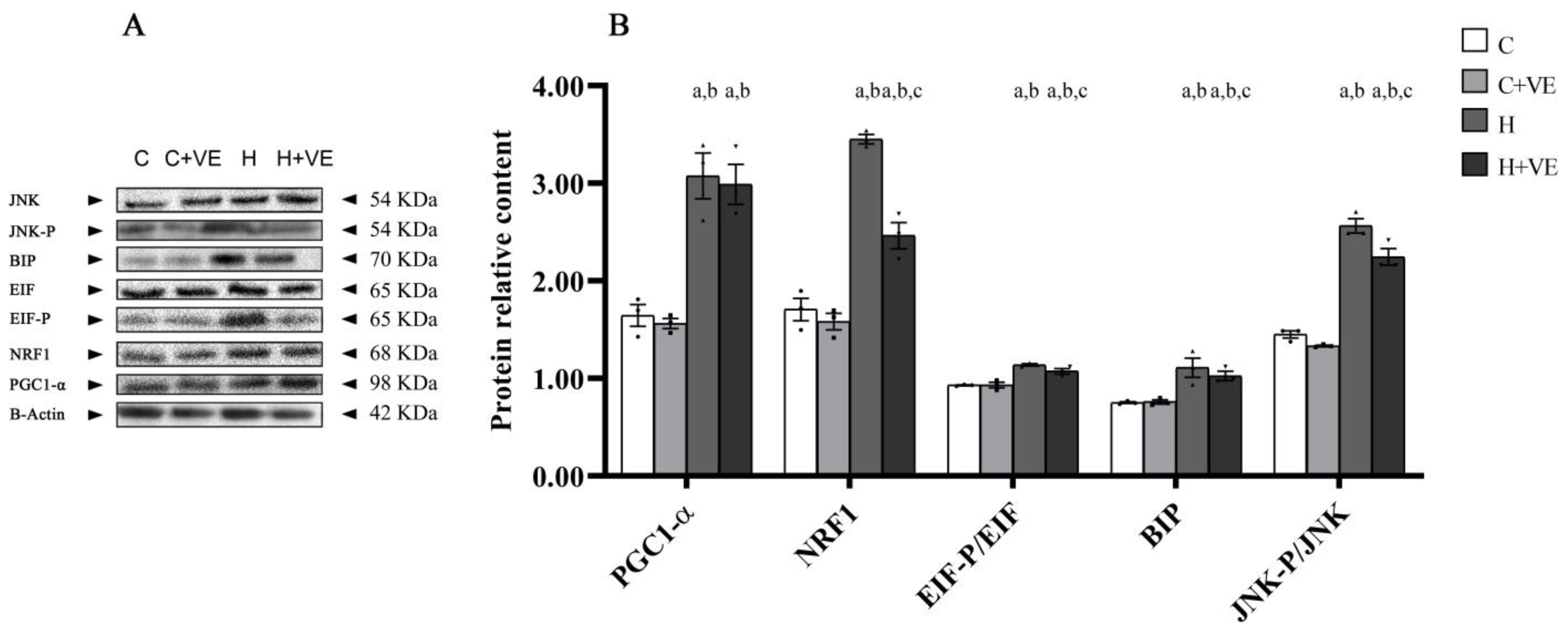 Antioxidants 12 00592 g006 Antioxidants 12 00592 g006