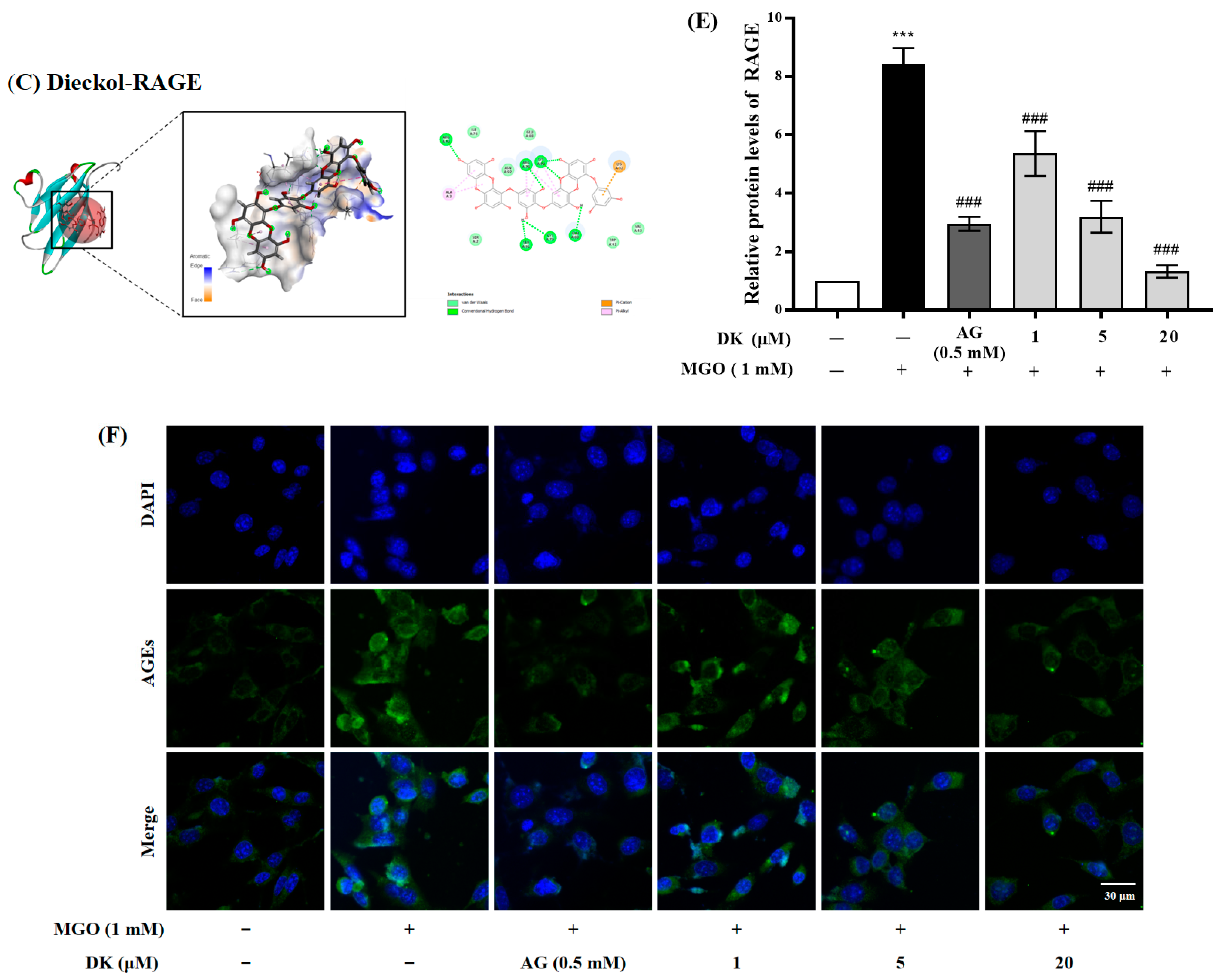 Antioxidants 12 00593 g003b