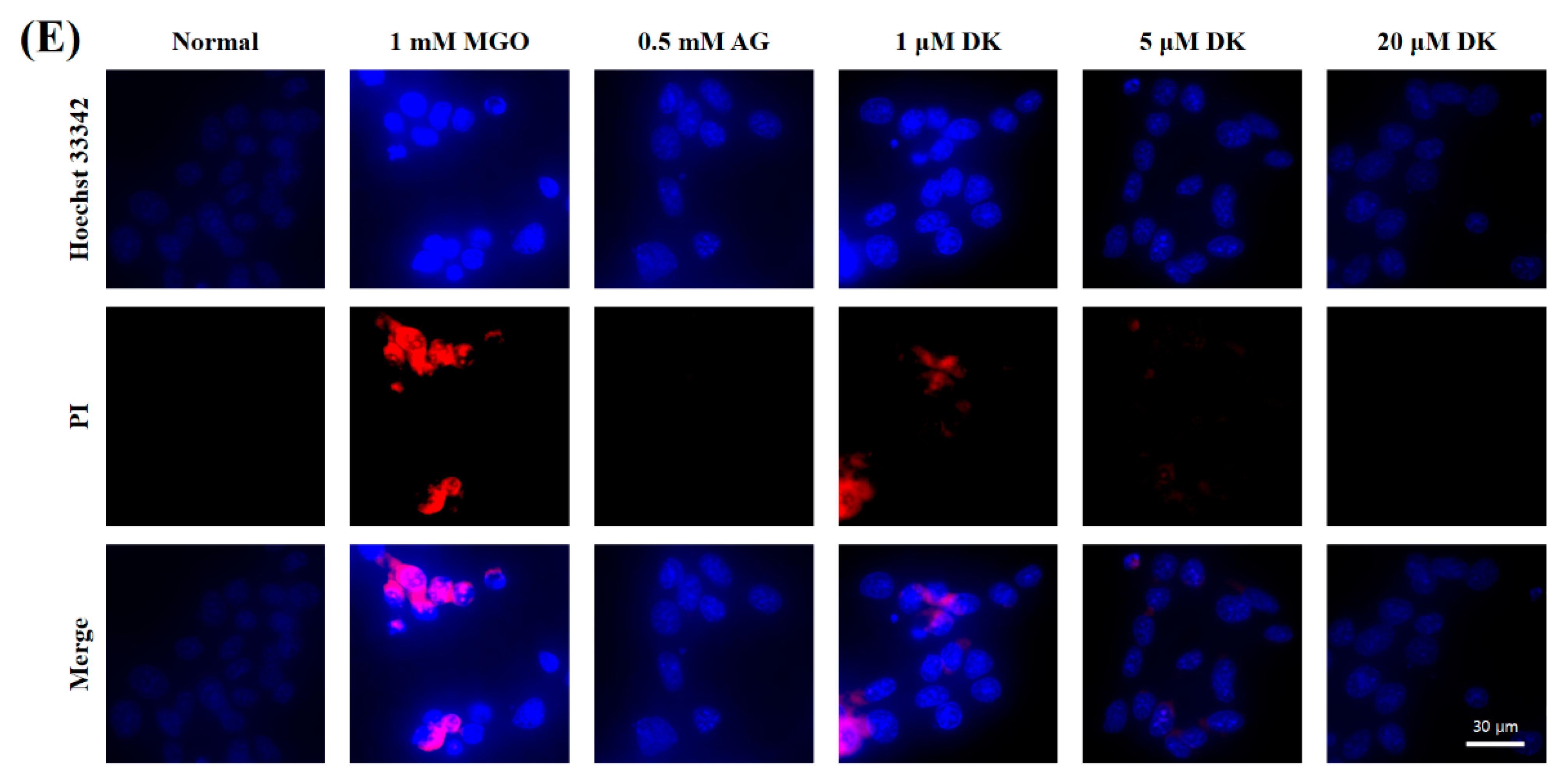 Antioxidants 12 00593 g004b