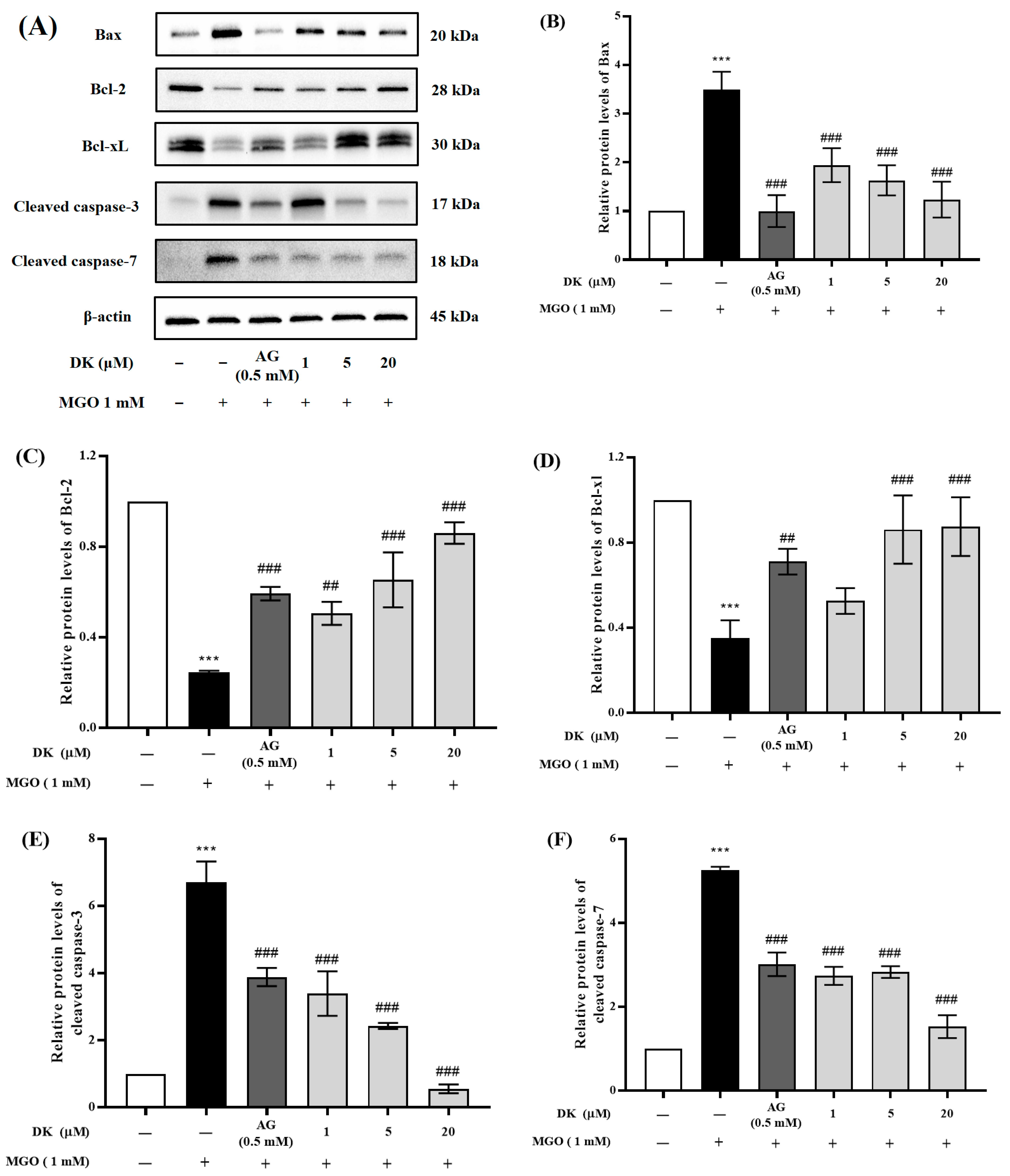 Antioxidants 12 00593 g005