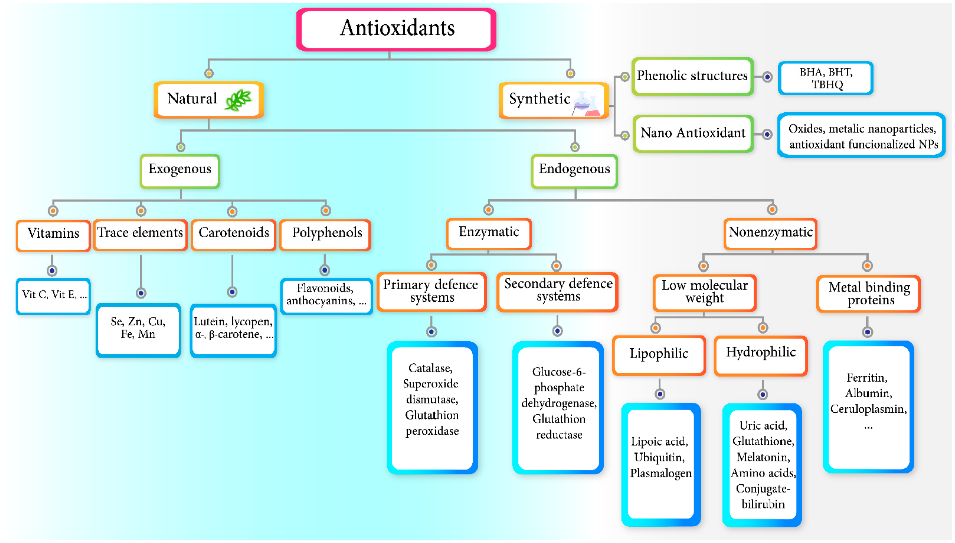 Antioxidants 12 00594 g001