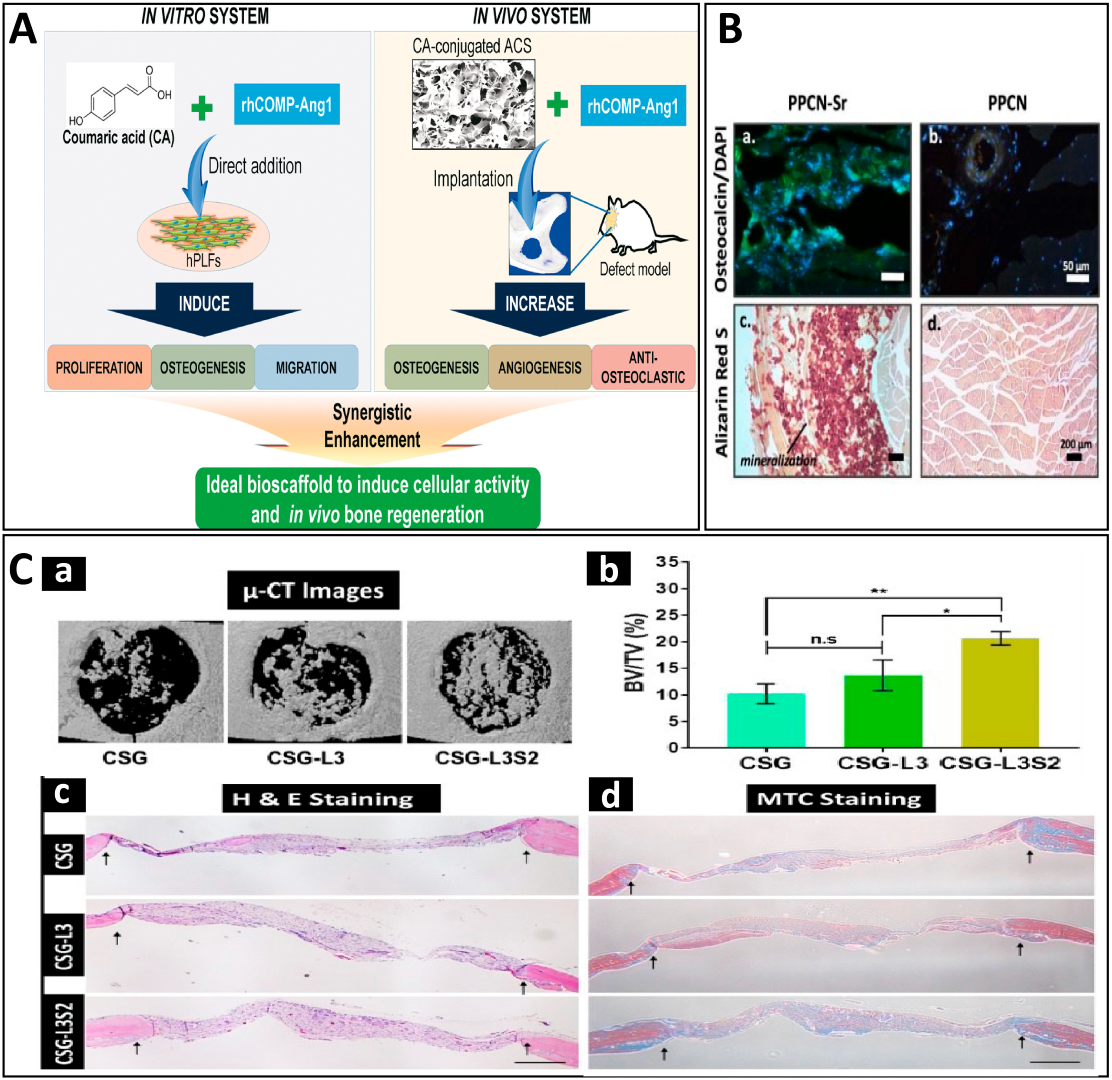 Antioxidants 12 00594 g002