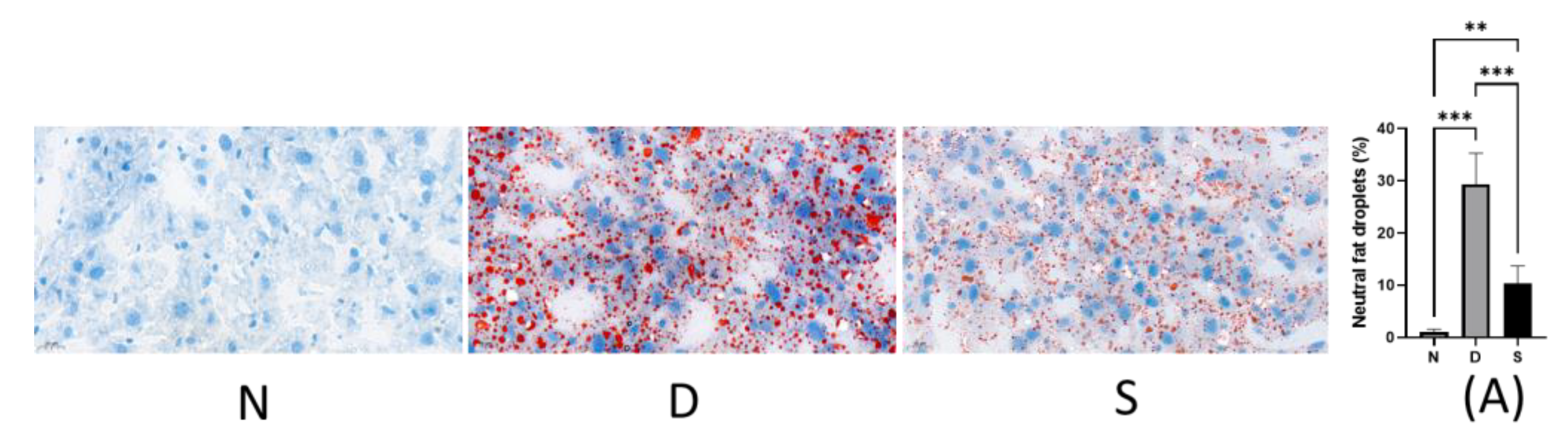 Antioxidants 12 00595 g002