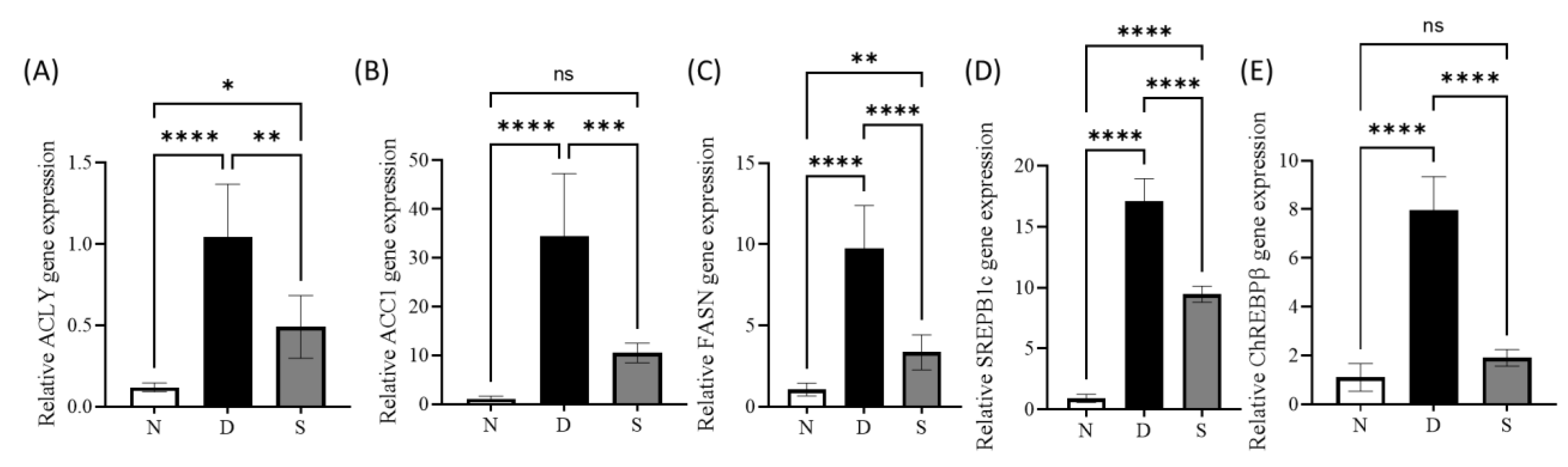 Antioxidants 12 00595 g003