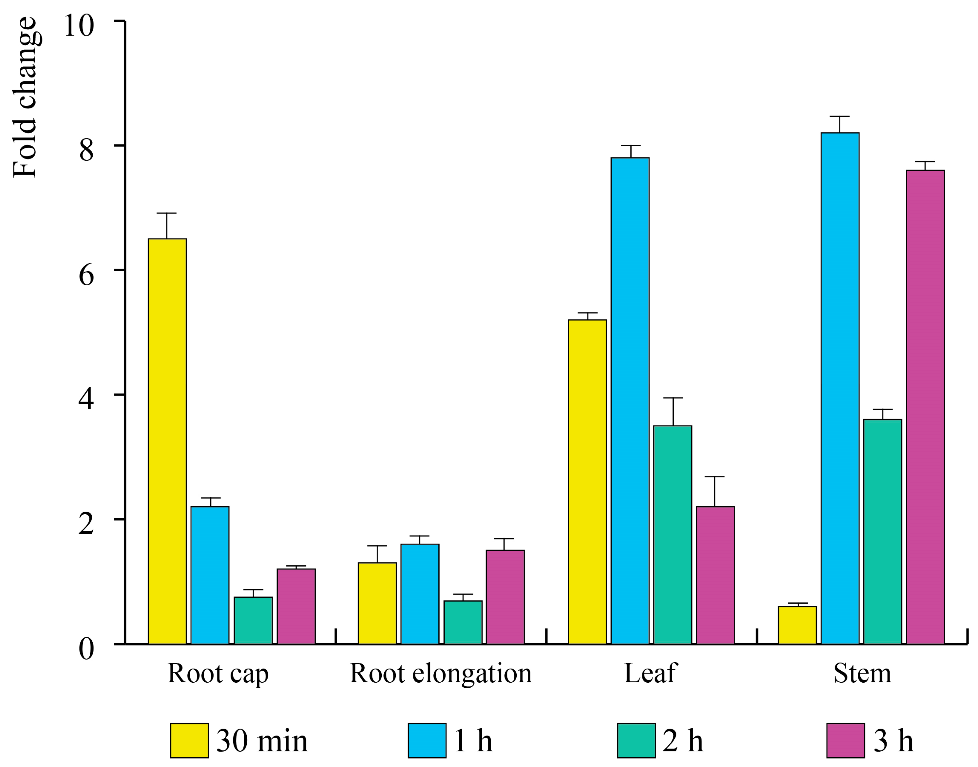 Antioxidants 12 00600 g003
