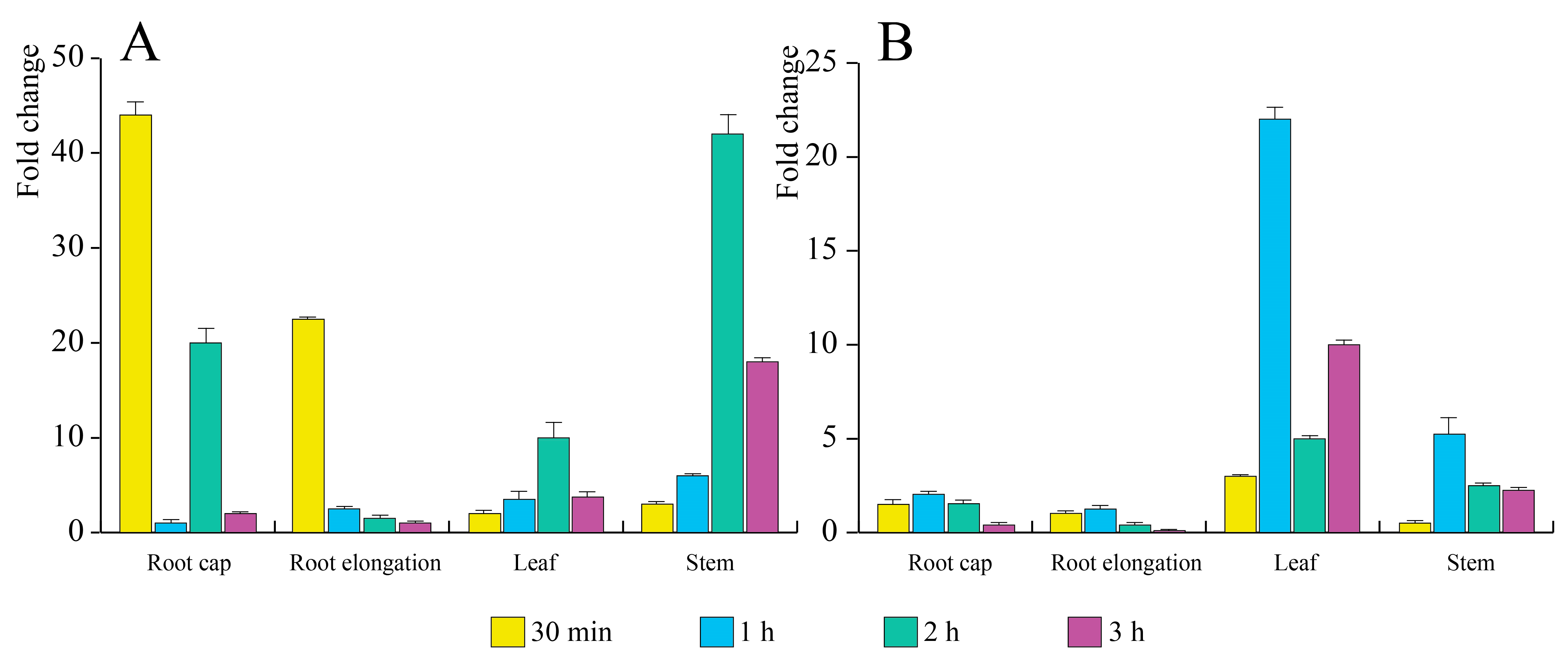 Antioxidants 12 00600 g004
