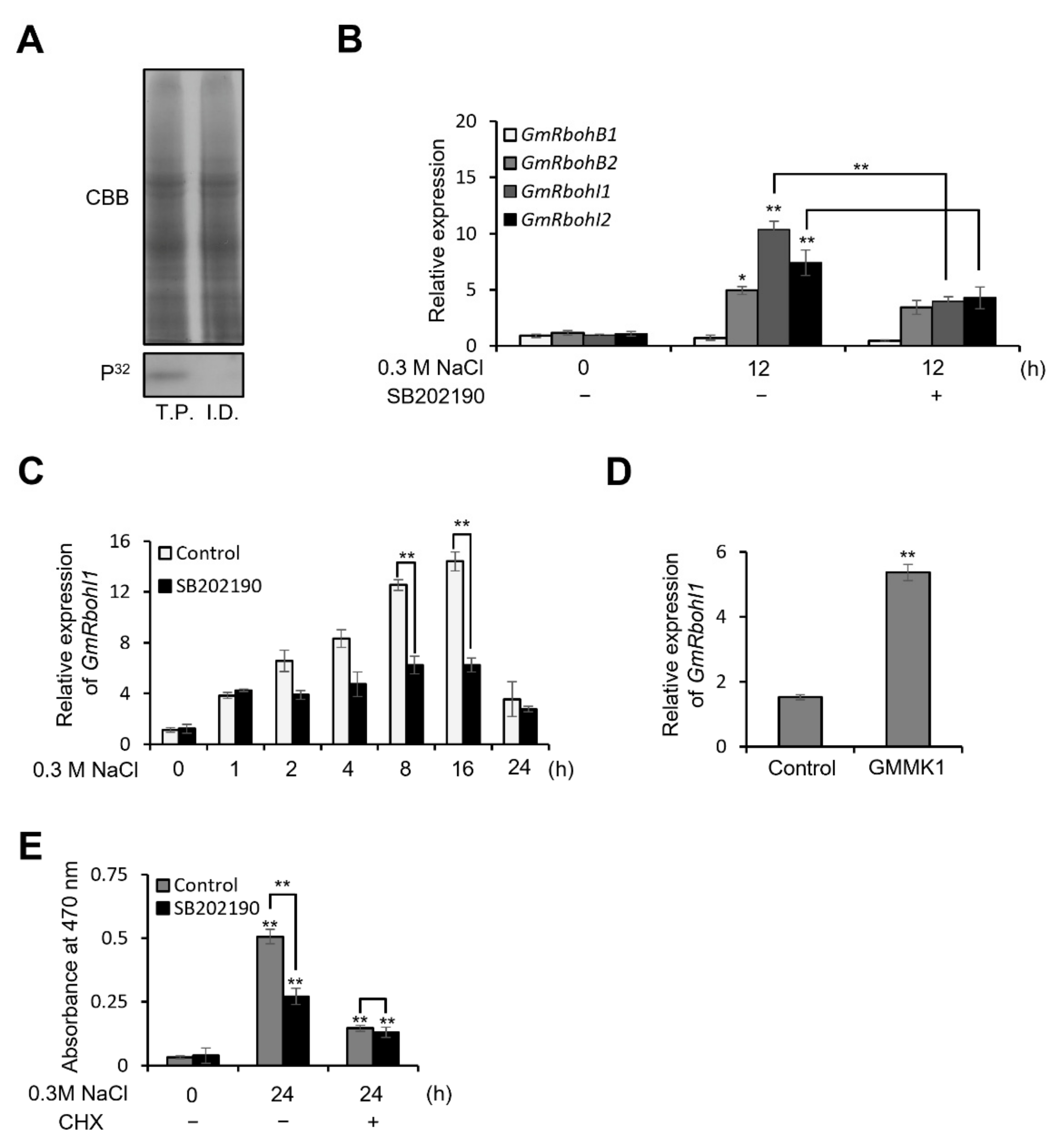 Antioxidants 12 00601 g001 Antioxidants 12 00601 g001