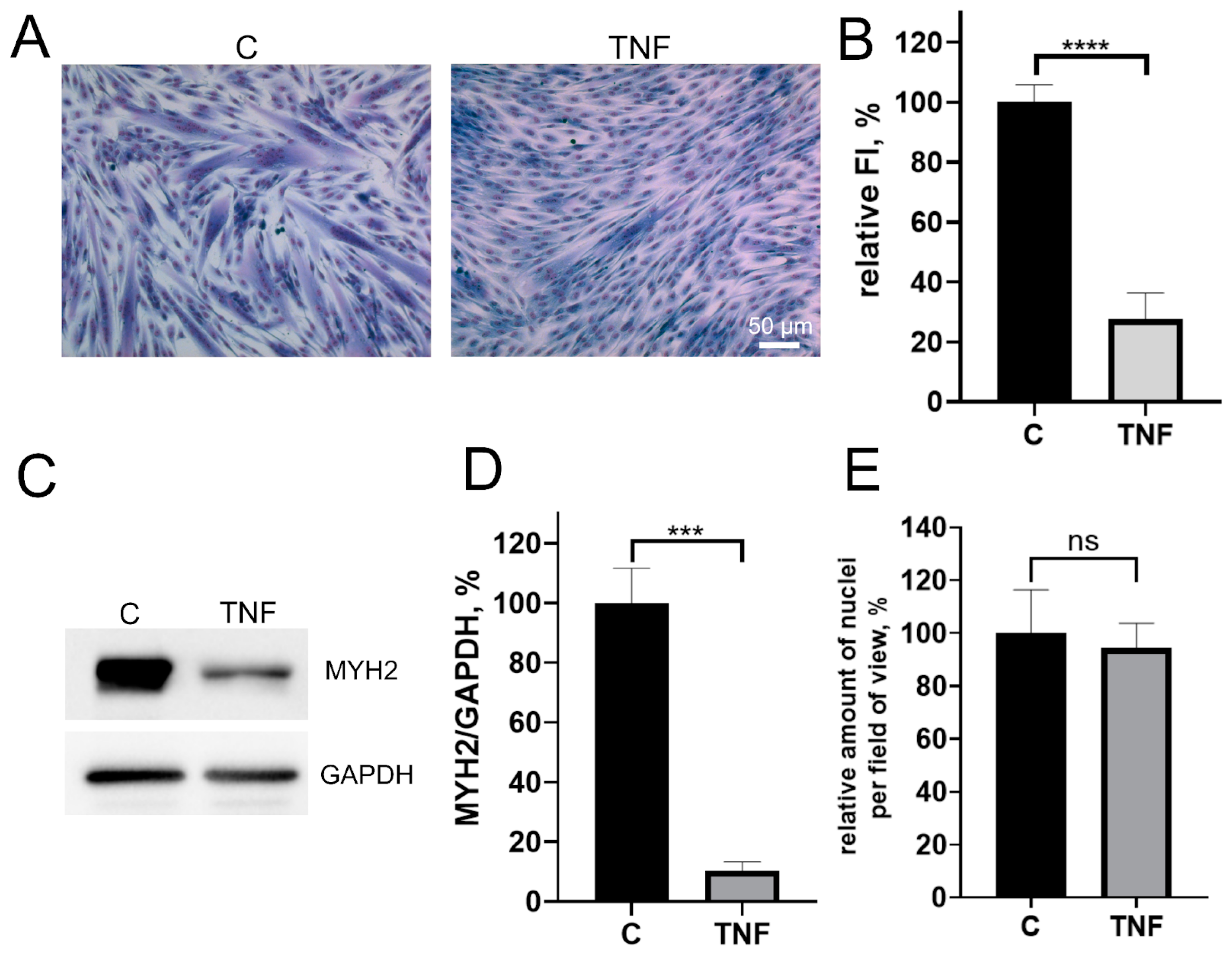 Antioxidants 12 00602 g001