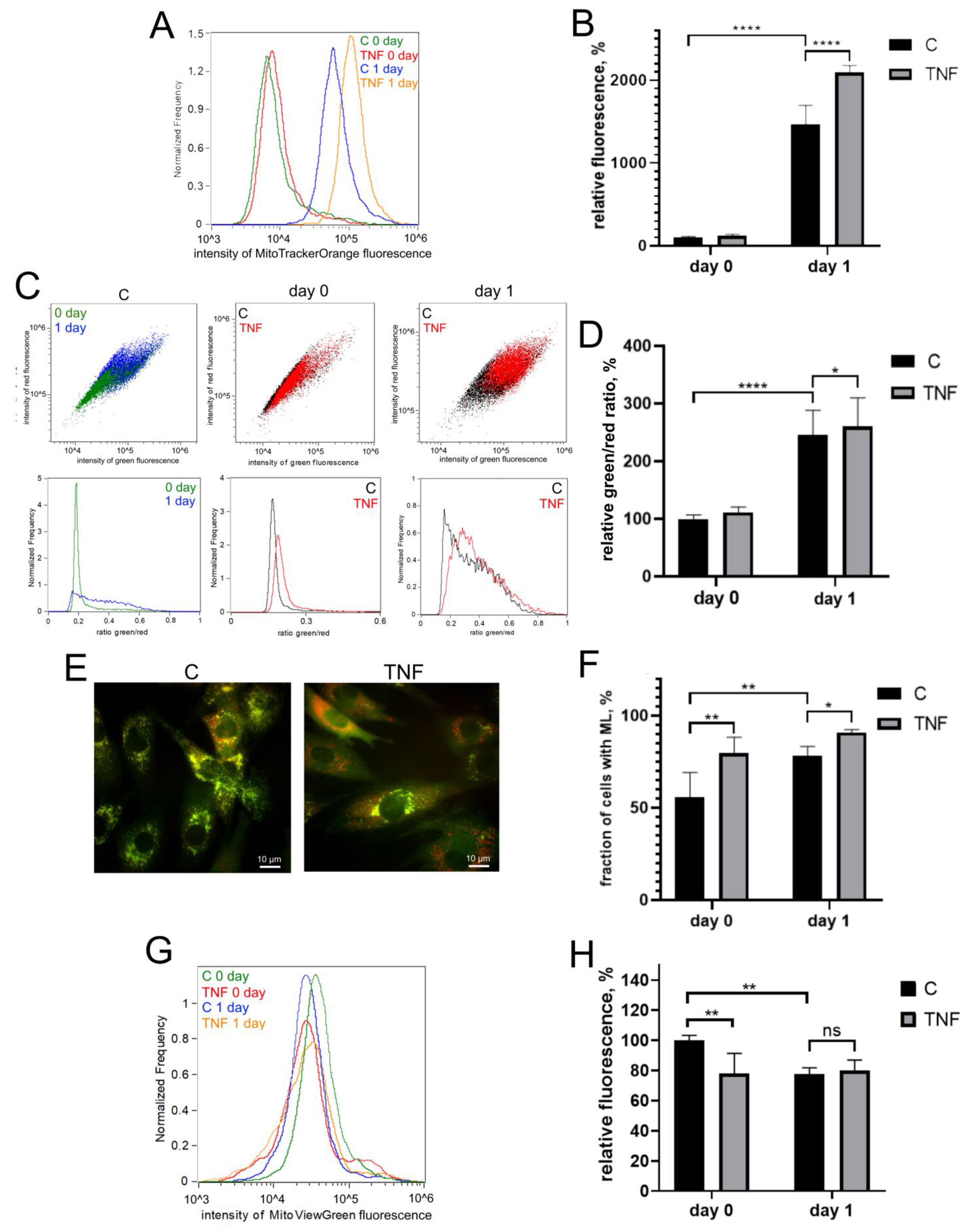 Antioxidants 12 00602 g002
