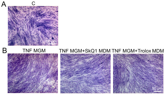 Antioxidants 12 00602 g0a3